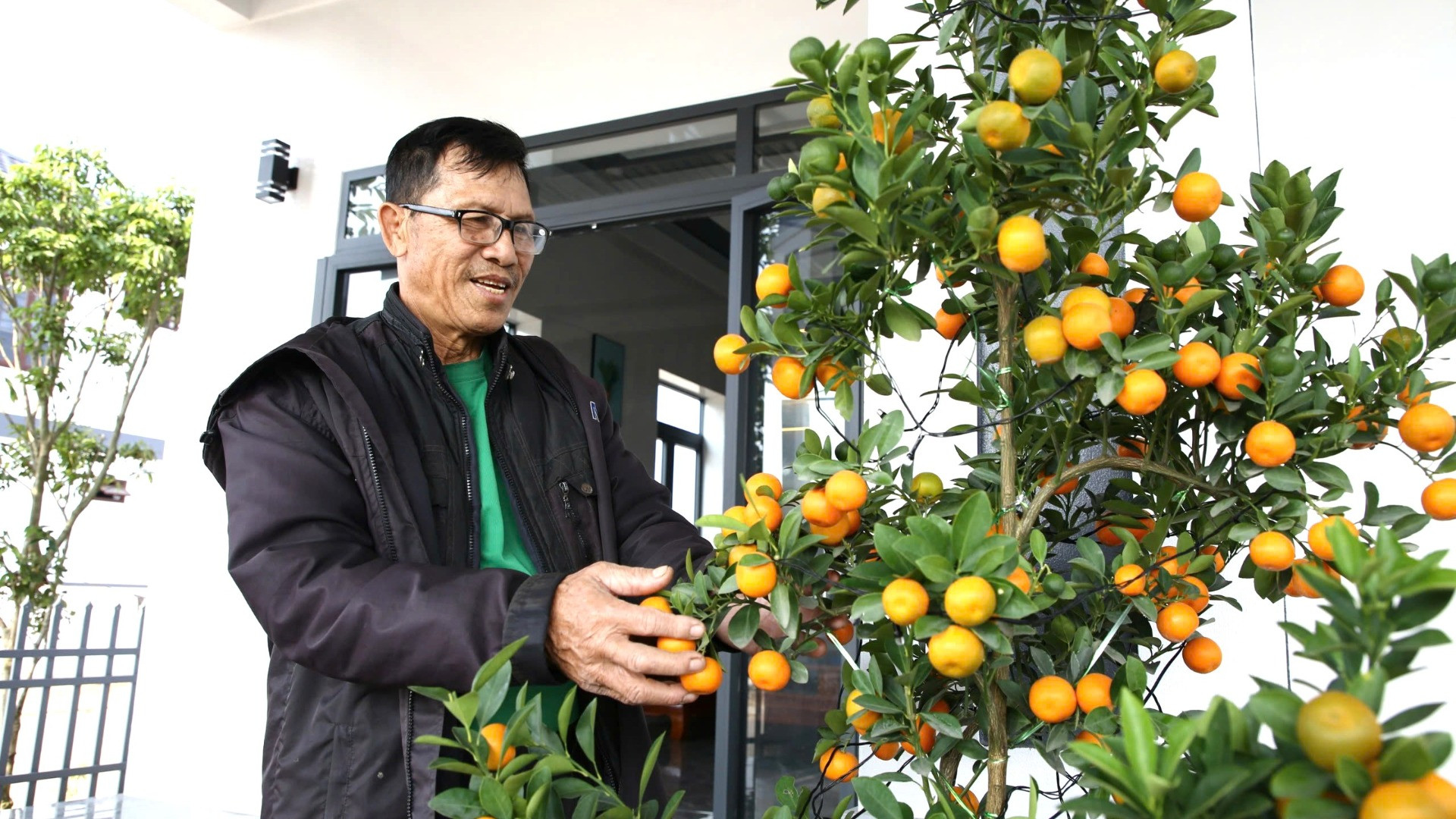 Ông Khanh mua hoa nhiều chậu hoa cúc, cây quất về trang trí nhà cửa để đón Tết vui xuân. Ông Khanh mua hoa nhiều chậu hoa cúc, cây quất về trang trí nhà cửa để đón Tết vui xuân.