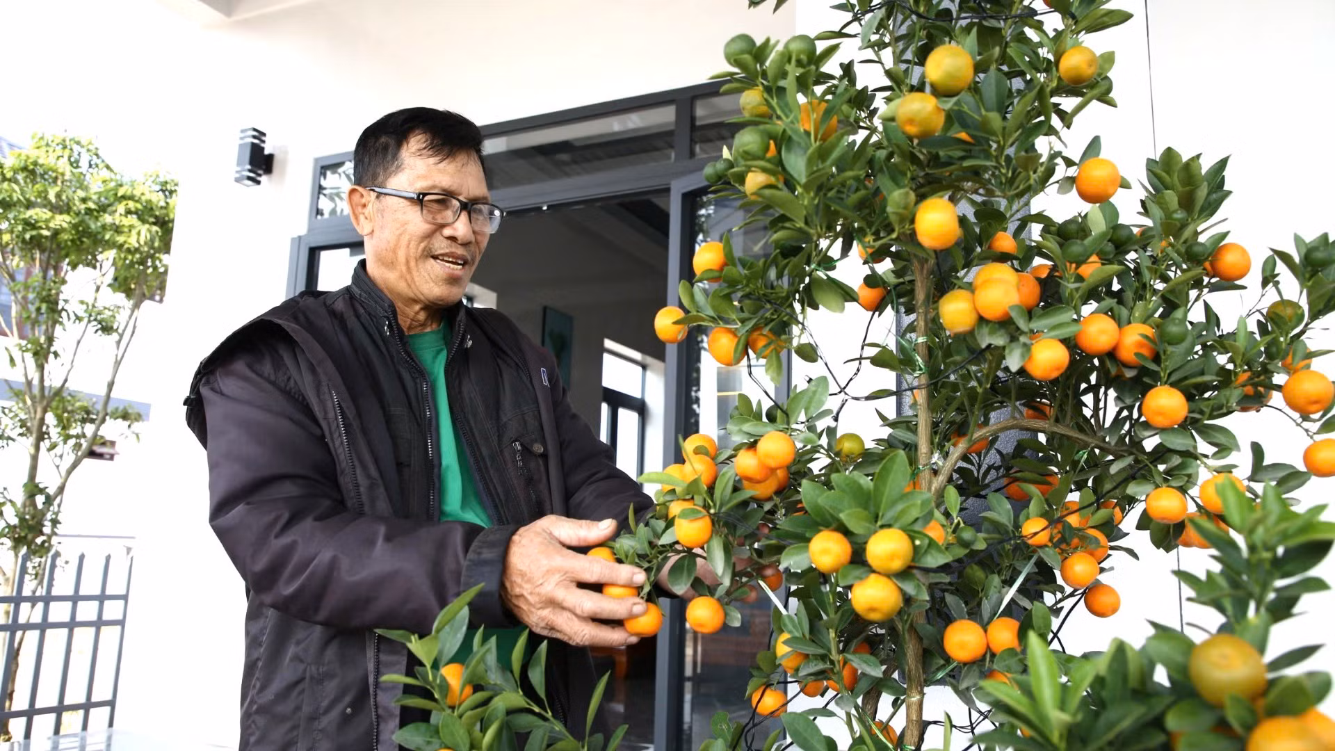 Ông Khanh mua hoa nhiều chậu hoa cúc, cây quất về trang trí nhà cửa để đón Tết vui xuân.