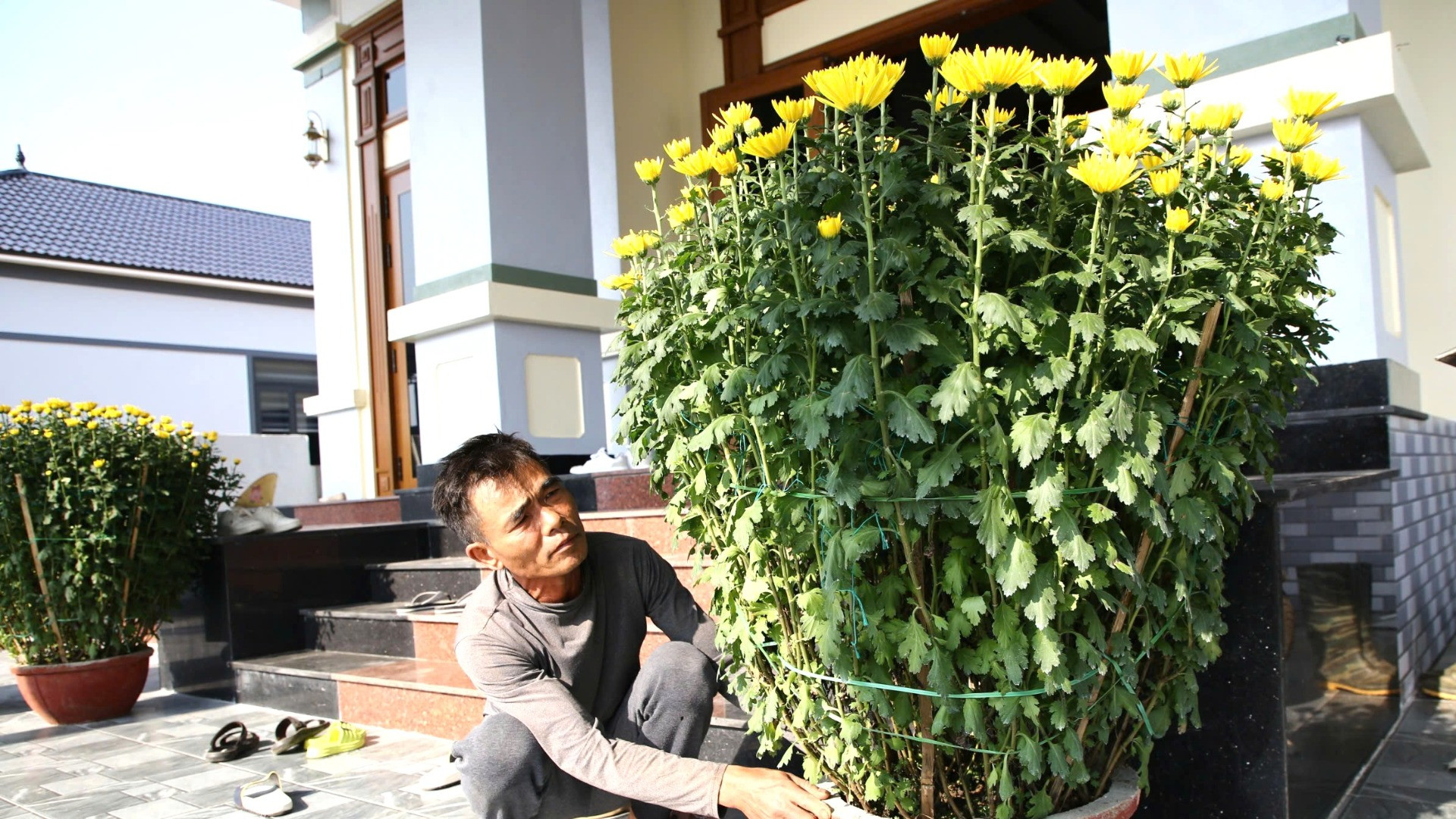 Trong ngày nắng hiếm hoi trước Tết Ất Tỵ 2025, người dân ở khu tái định cư thị trấn nông trường Việt Trung tranh thủ trang trí nhà cửa đẹp hơn để đón xuân mới. Trong ngày nắng hiếm hoi trước Tết Ất Tỵ 2025, người dân ở khu tái định cư thị trấn nông trường Việt Trung tranh thủ trang trí nhà cửa đẹp hơn để đón xuân mới.