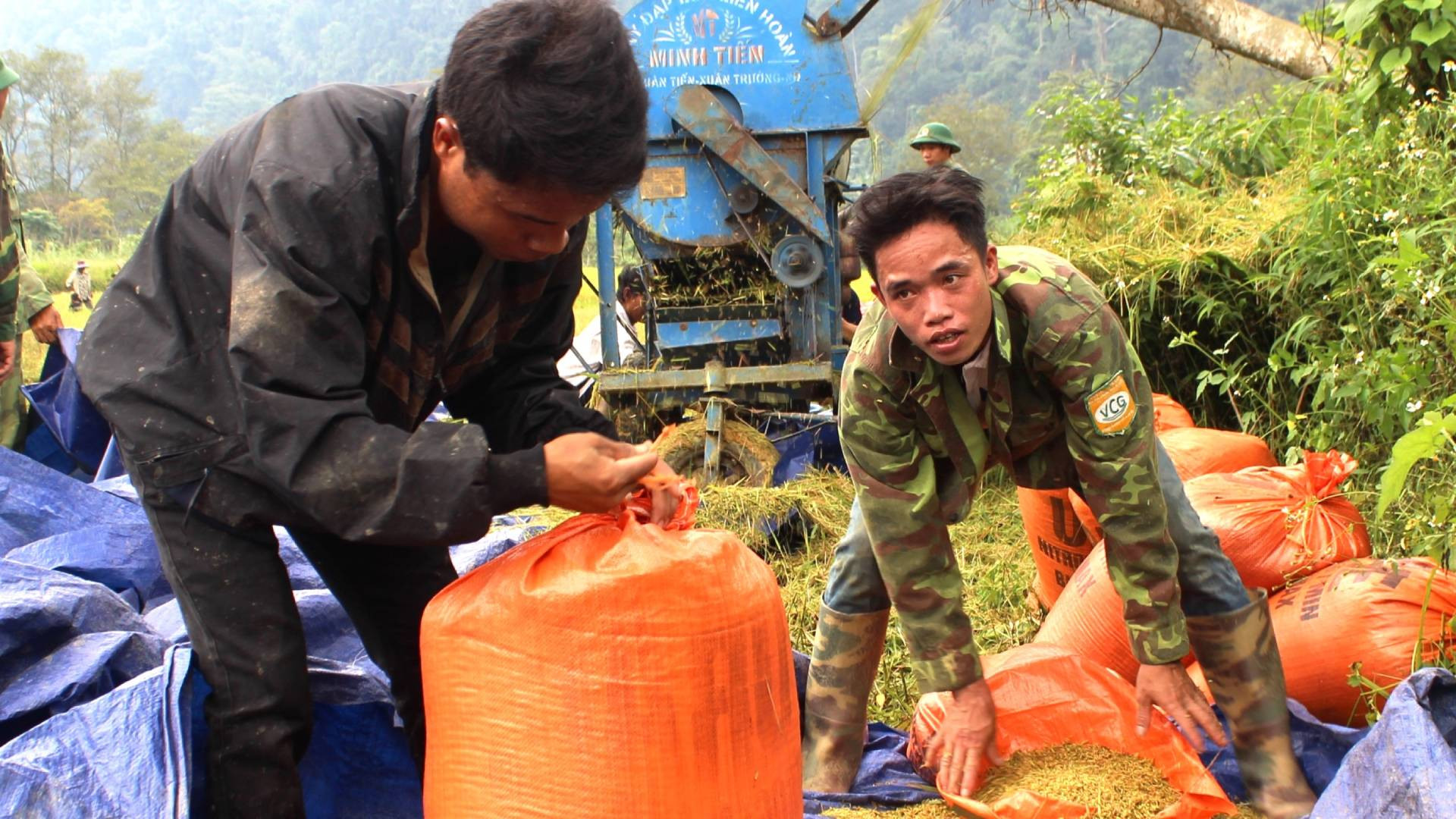 Thanh niên trong bản được giao nhiệm vụ đóng bao để nhanh chóng chuyển lúa về từng nhà kịp trước khi cơn mưa dông chiều kéo đến.