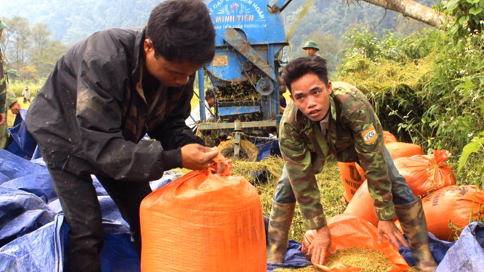 Thanh niên trong bản được giao nhiệm vụ đóng bao để nhanh chóng chuyển lúa về từng nhà kịp trước khi cơn mưa dông chiều kéo đến.