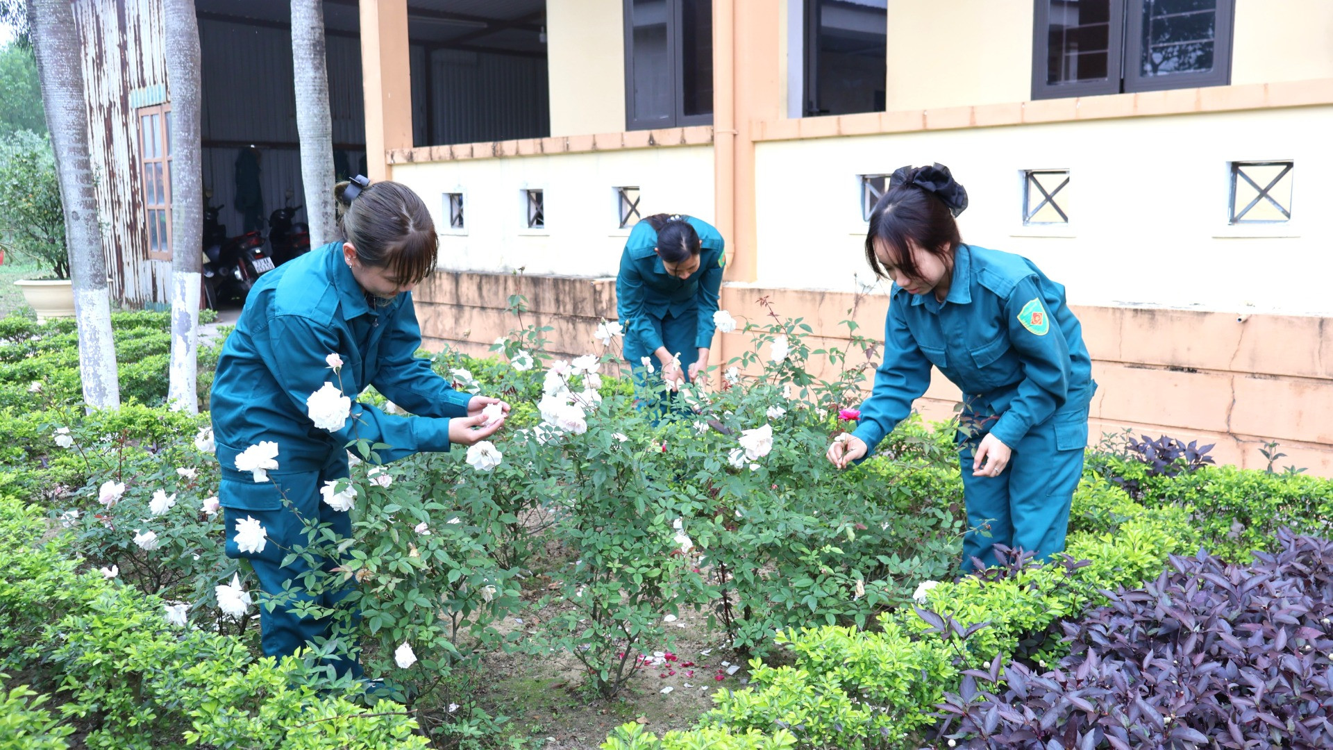 Vườn hoa trong khuôn viên đơn vị được các nữ pháo thủ chăm bón, khoe sắc đón chào mùa xuân mới đang về