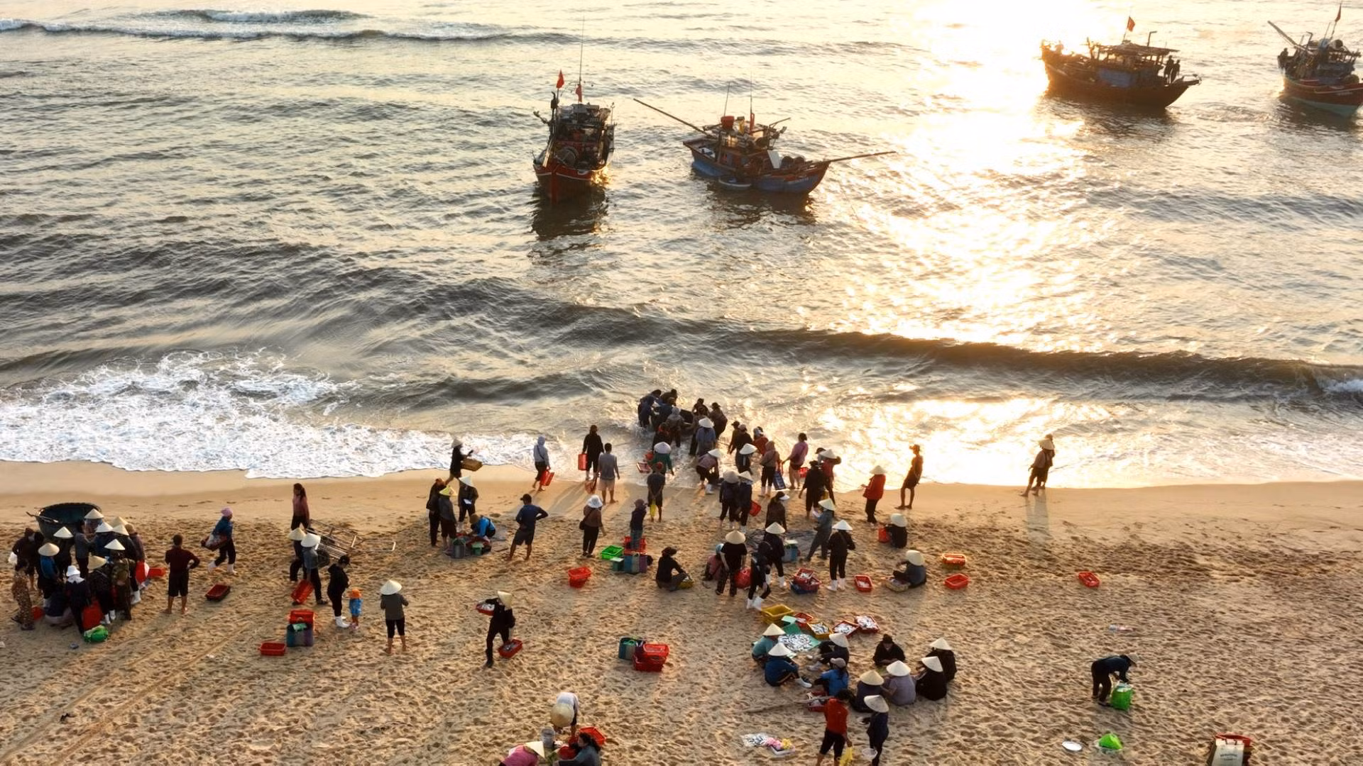 Vào sáng sớm chợ cá Nhân Trạch họp nhanh bên chân sóng để rồi từ đó, nguồn hải sản tươi ngon được chuyển ngay đến các chợ trong tỉnh cho kịp phiên chợ sáng hằng ngày.