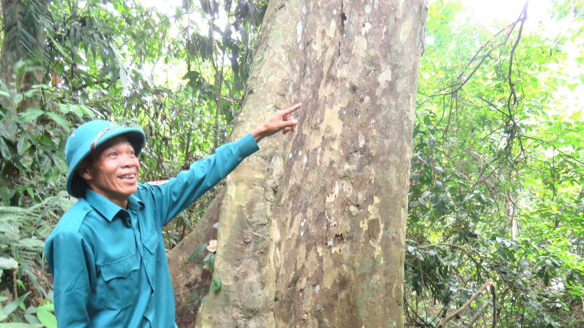 Một góc rừng ở bản Ông Tú, xã Trọng Hóa, huyện Minh Hóa. Một góc rừng ở bản Ông Tú, xã Trọng Hóa, huyện Minh Hóa.