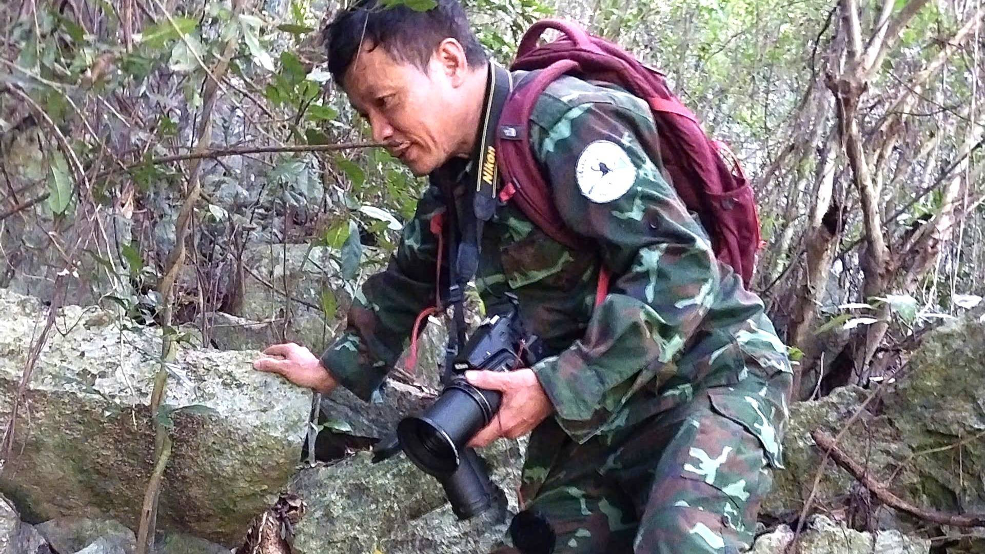 [Ảnh] Bảo vệ, bảo tồn voọc gáy trắng ở Quảng Bình ảnh 3