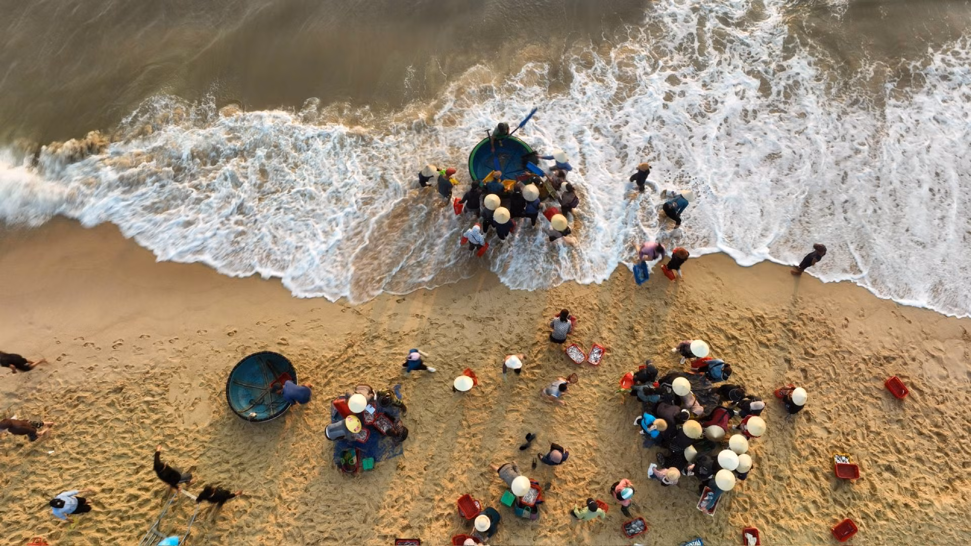 Không thể cập tận bờ, ngư dân Nhân Trạch neo tàu thuyền phía trước chừng 50m rồi chuyển hải sản sang từng thuyền thúng để chuyển vào bờ.