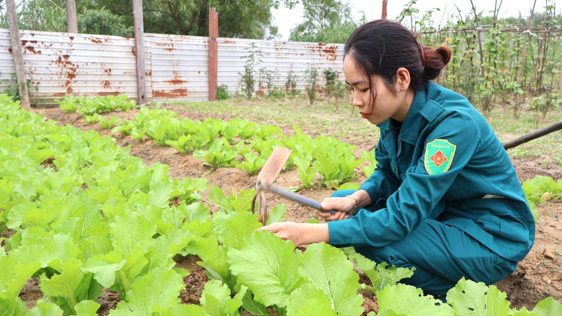 Sau giờ huấn luyện, cán, bộ, chiến sĩ còn tăng gia sản xuất, từng bước tự bảo đảm đời sống