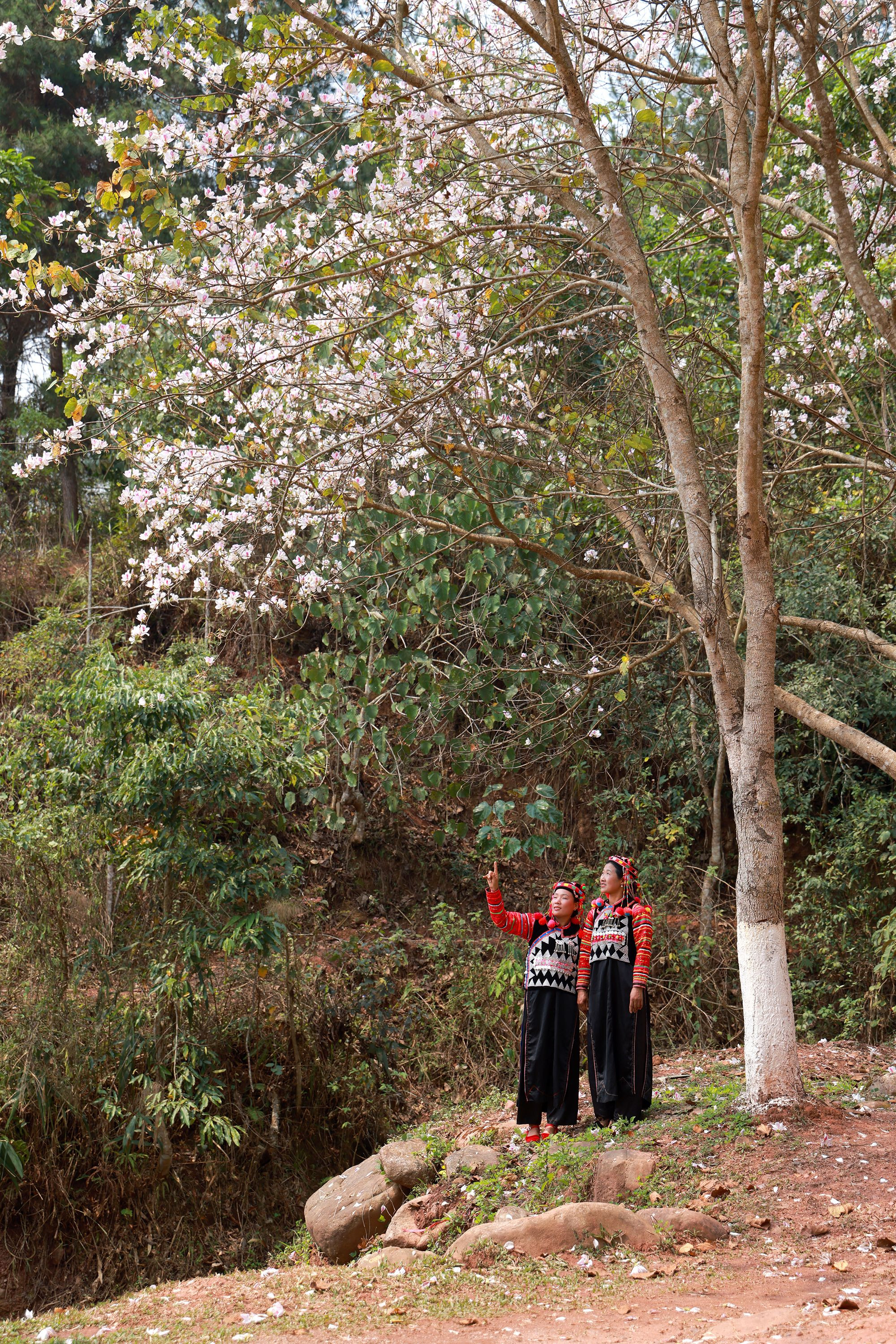 Những hình ảnh này thường gặp trong mùa lễ hội, trở về với cuộc sống thường ngày, phụ nữ Hà Nhì sẽ mặc trang phục lao động theo bản sắc dân tộc mình.