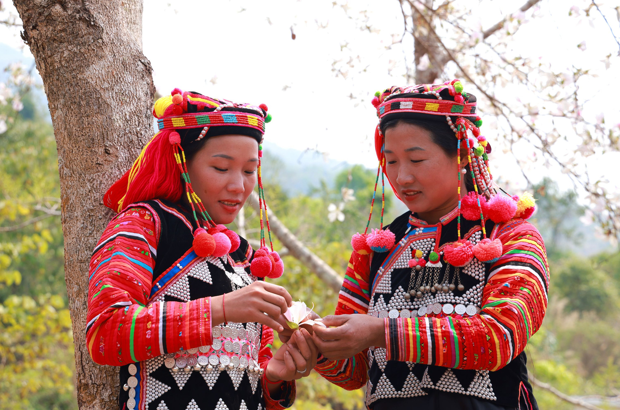 Họ được ví như những bông hoa rừng giàu sức sống.