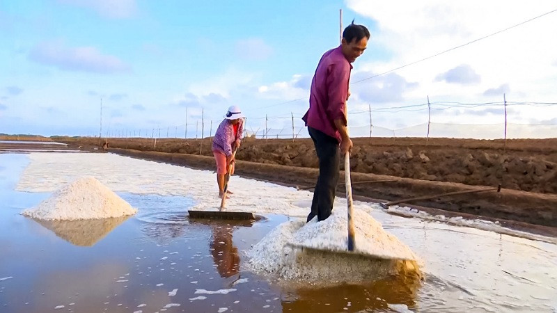 Diêm dân xã Điền Hải, huyện Đông Hải đang làm muối.