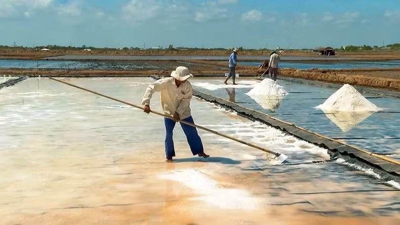 Sản xuất muối chất lượng cao bằng phương pháp trải bạt nhựa.