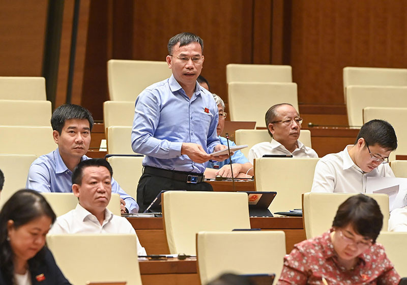 Đại biểu Quốc hội tỉnh Bình Định Đồng Ngọc Ba phát biểu ý kiến chất vấn.