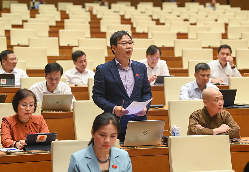 Đại biểu Quốc hội thành phố Hà Nội Đỗ Đức Hồng Hà phát biểu ý kiến chất vấn.