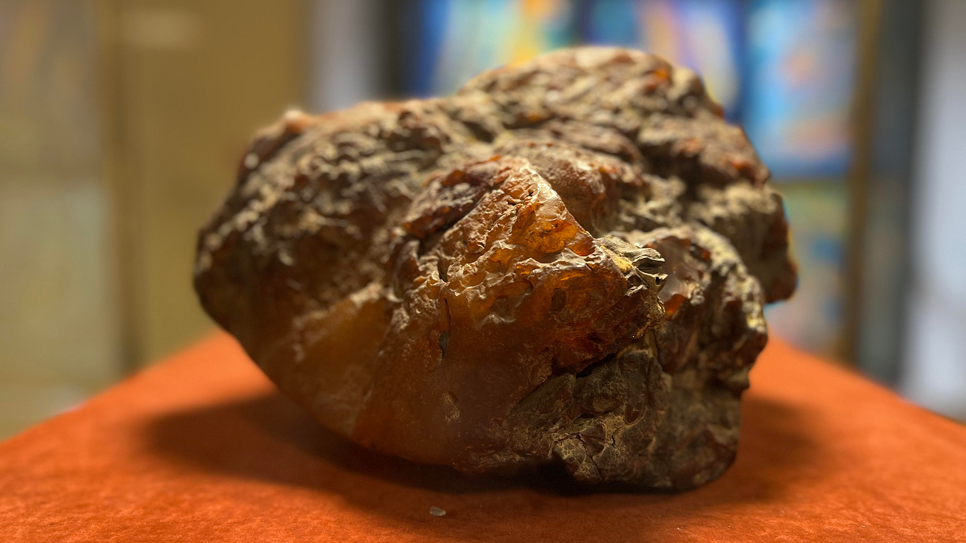 Điểm nhấn tại không gian khoa học tự nhiên là viên hổ phách Baltic lớn nhất ở Nga, được mệnh danh là “Đá mặt trời”. Nó có trọng lượng hơn 4kg.