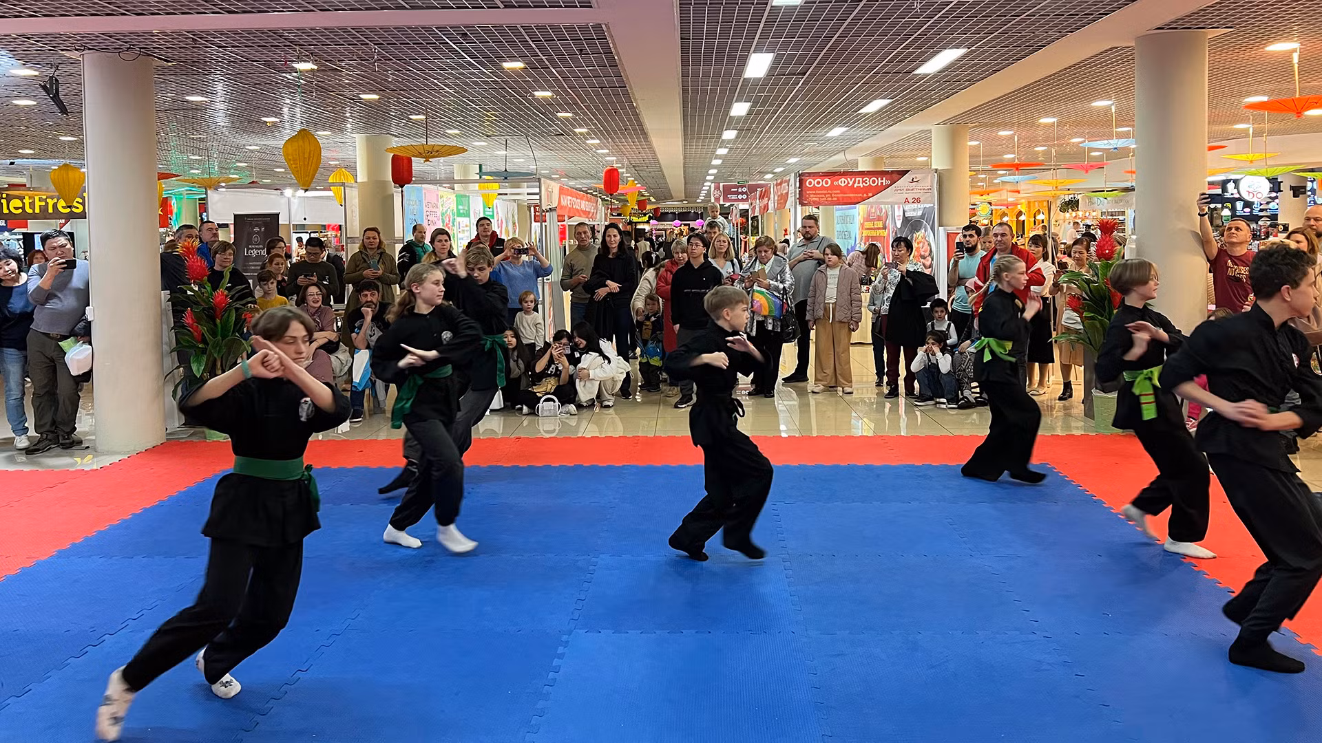 Biểu diễn võ thuật cổ truyền Việt Nam.