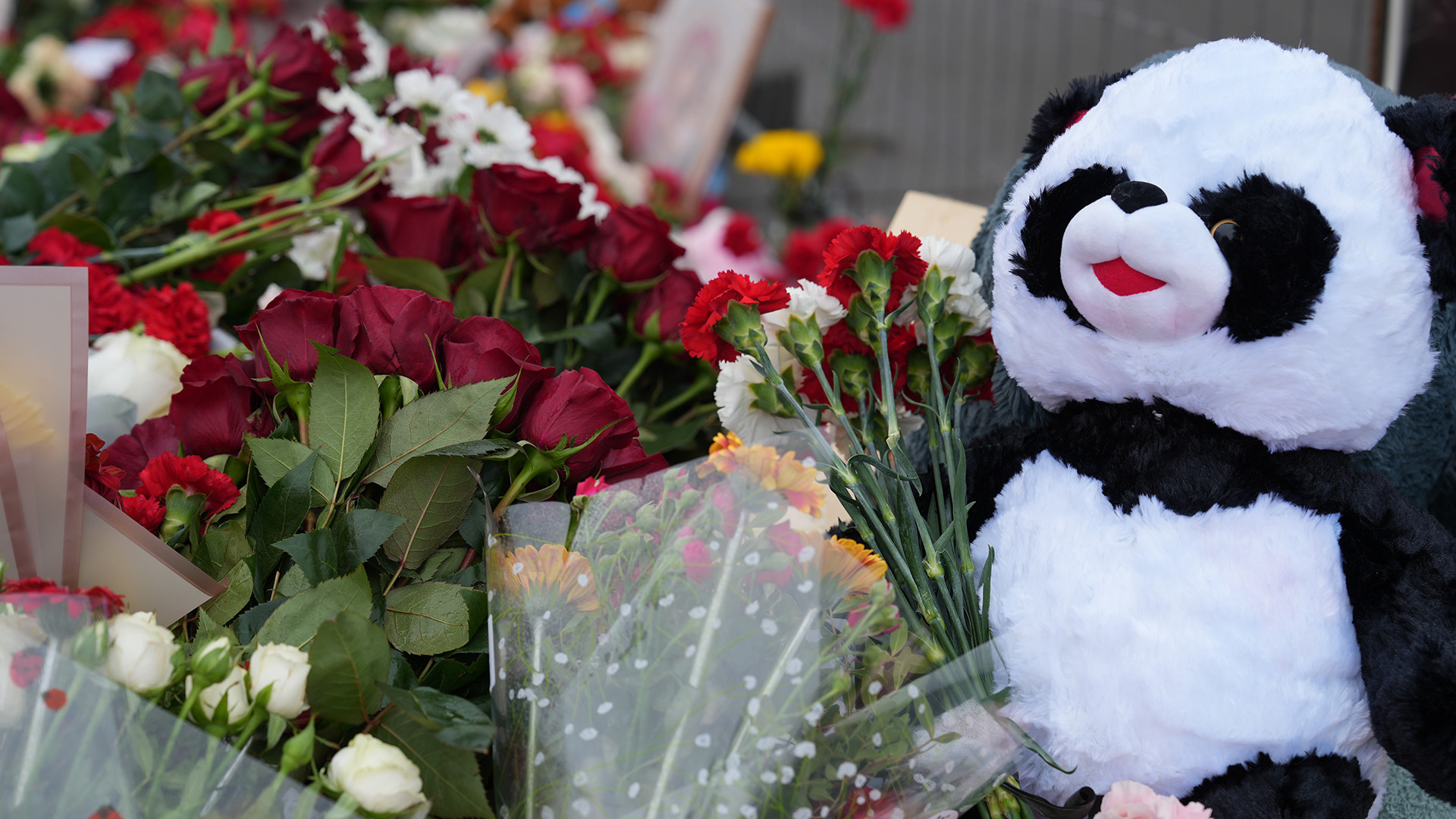 Những bông hoa, gấu bông được người dân mang đến đặt tại khu tưởng niệm. Người dân cùng nhau cầu nguyện cho các nạn nhân xấu số. (Ảnh: XUÂN HƯNG) Những bông hoa, gấu bông được người dân mang đến đặt tại khu tưởng niệm. Người dân cùng nhau cầu nguyện cho các nạn nhân xấu số. (Ảnh: XUÂN HƯNG)