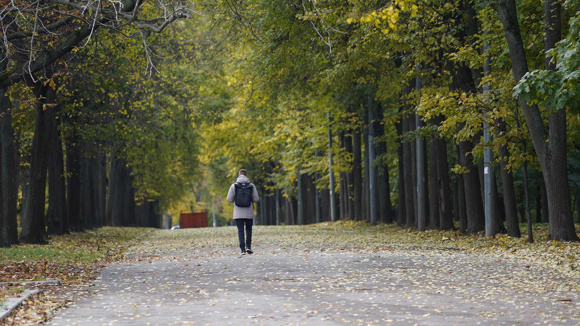 Nhiều con đường tại đây bắt đầu phủ lớp lá vàng.