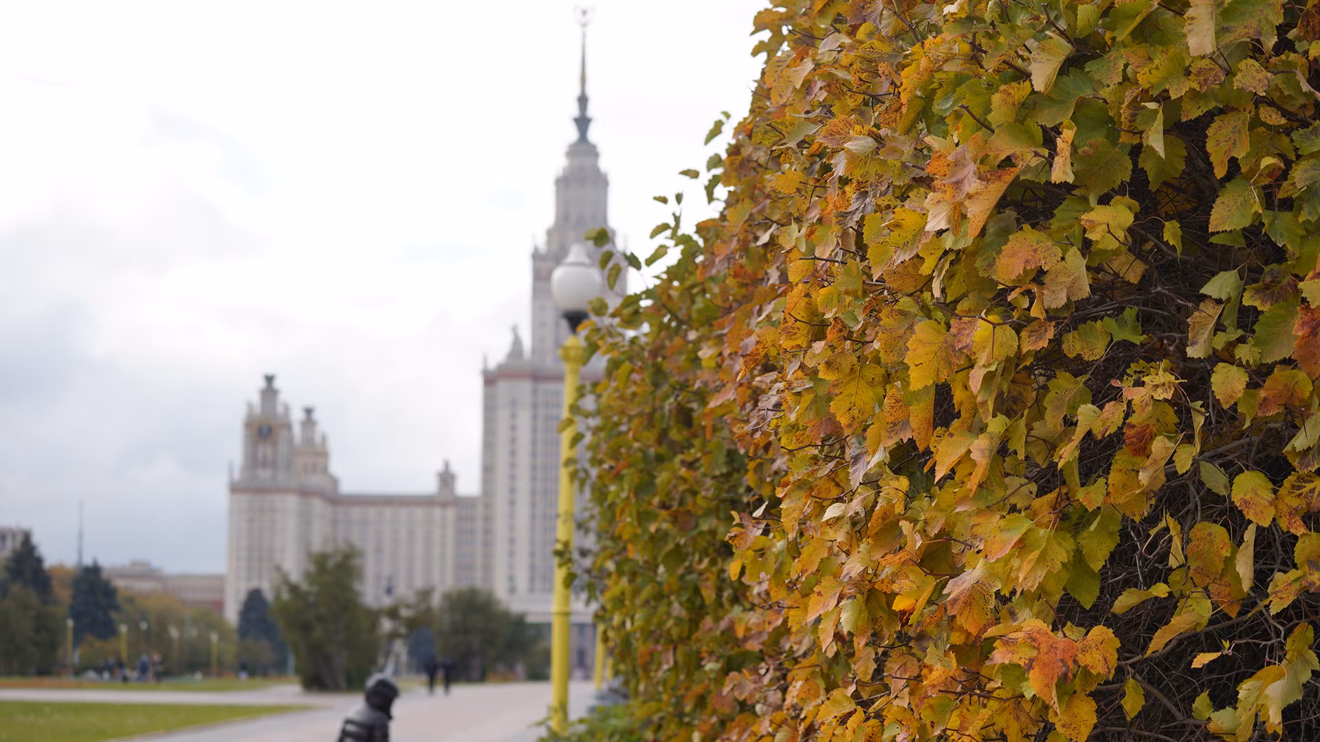 Những con đường phủ sắc vàng trước tòa nhà chính Đại học Tổng hợp Quốc gia Moskva mang tên Lomonosov.