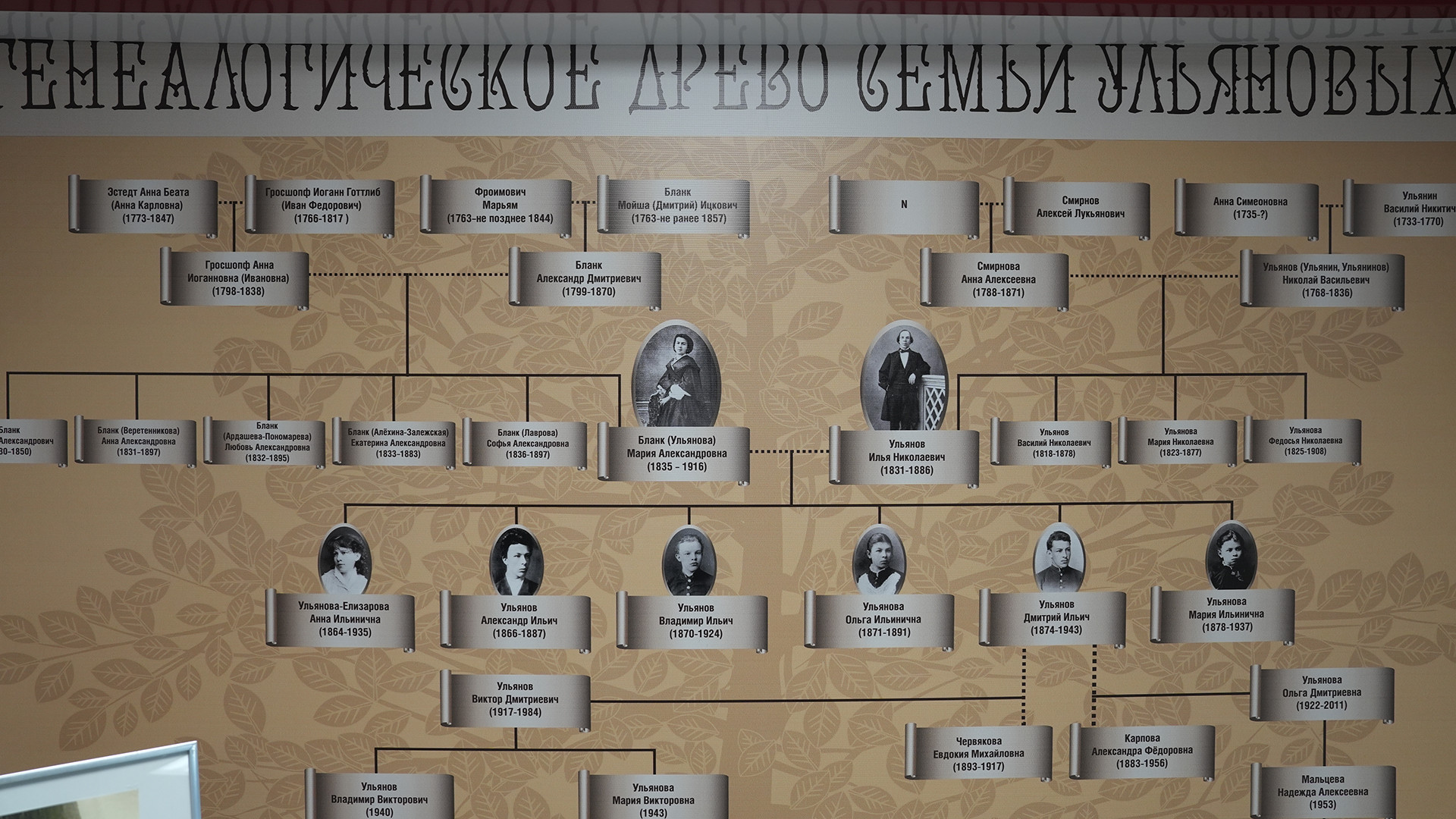 Cây gia phả gia đình Ulyanov. Cây gia phả gia đình Ulyanov.