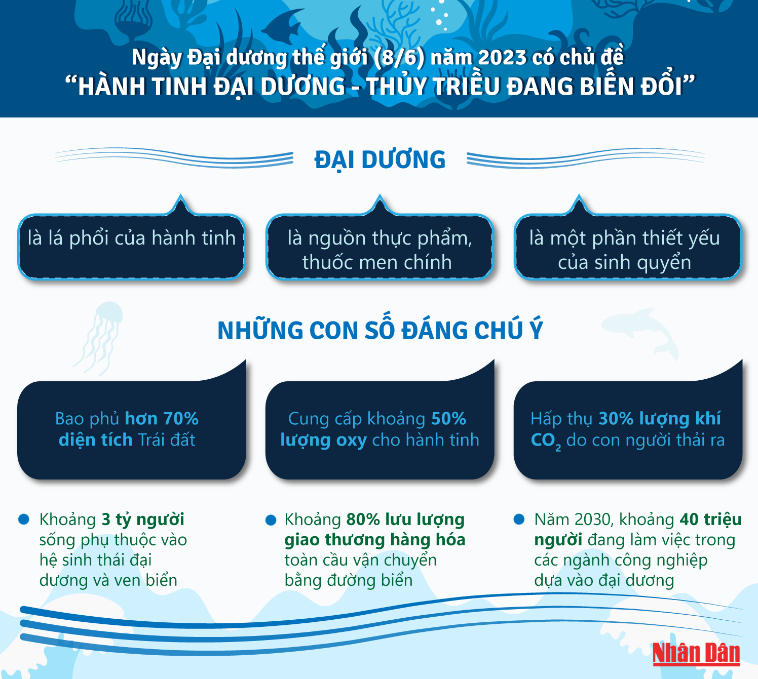 (Infographic có sử dụng chất liệu của Freepik) (Infographic có sử dụng chất liệu của Freepik)