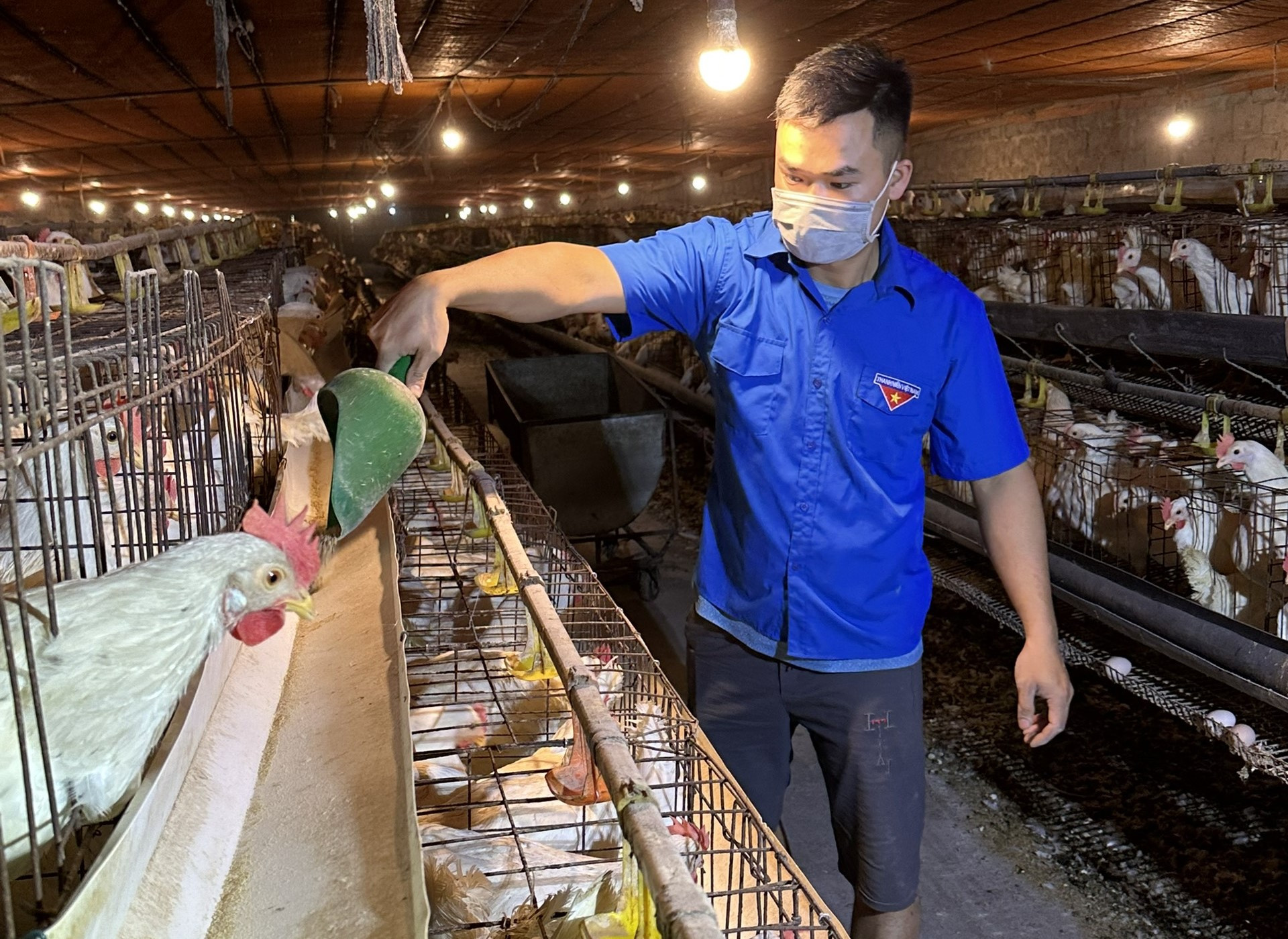 Nguồn vốn tín dụng chính sách giúp đoàn viên, thanh niên trên địa bàn thị xã Duy Tiên khởi nghiệp, mở rộng sản xuất kinh doanh, tạo việc làm.