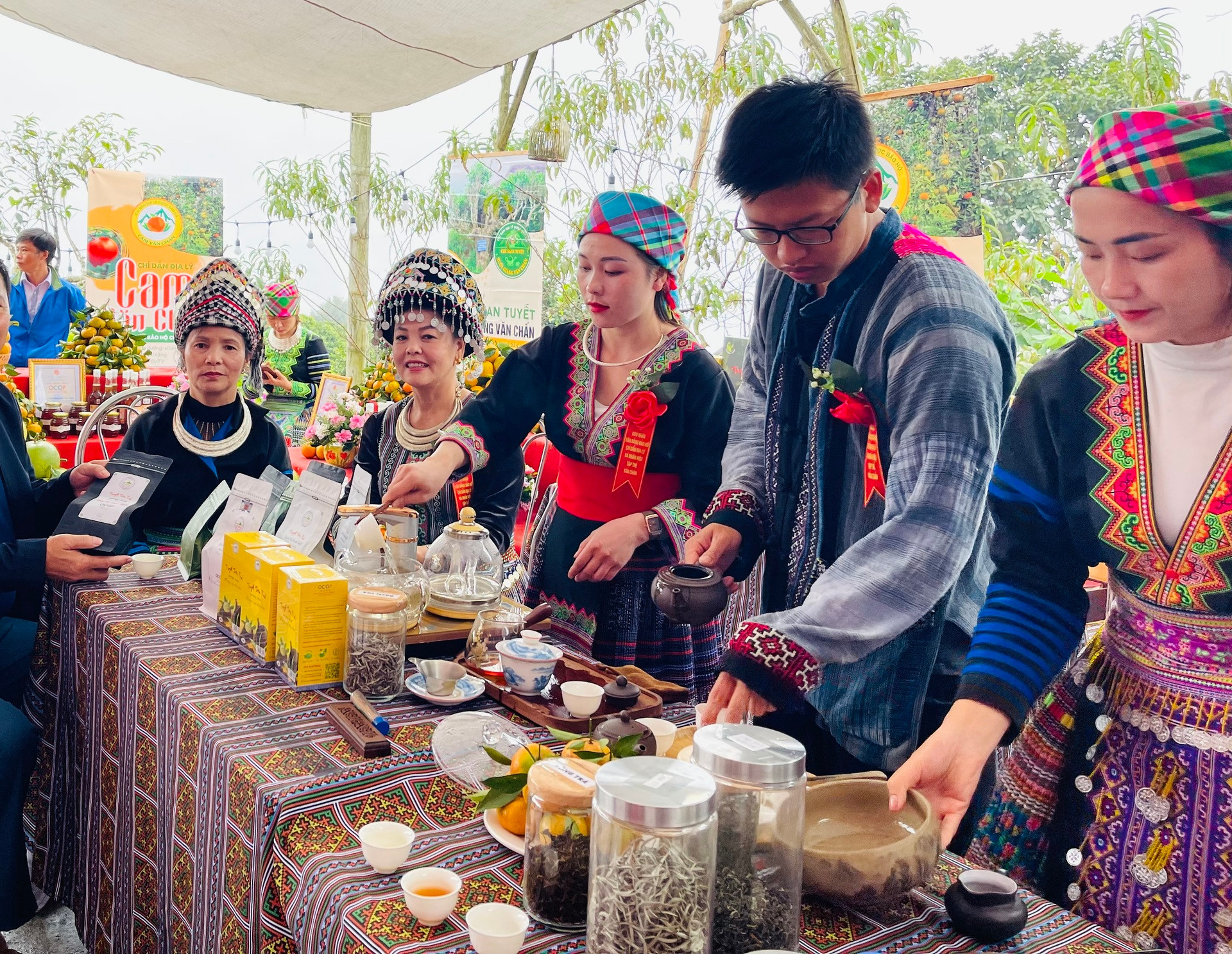 Giới thiệu sản phẩm chè Yên Bái.