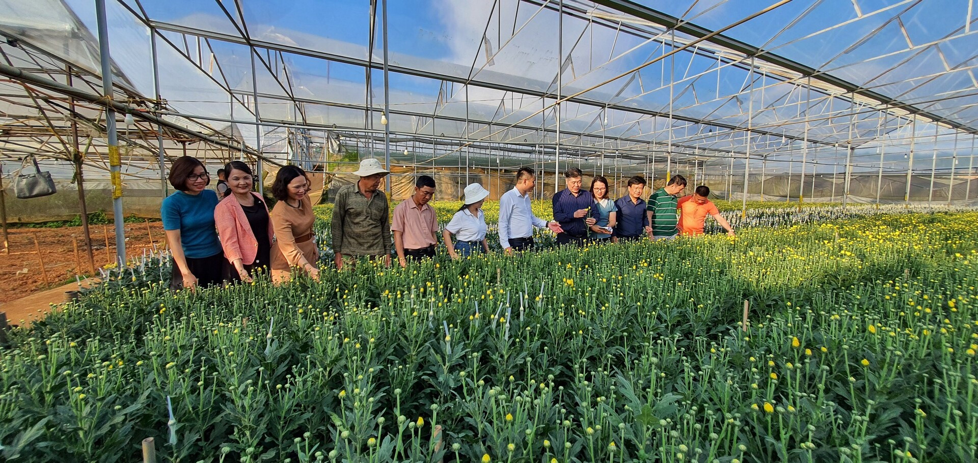 Mô hình sản xuất hoa công nghệ cao tại thành phố Đà Lạt, tỉnh Lâm Đồng.