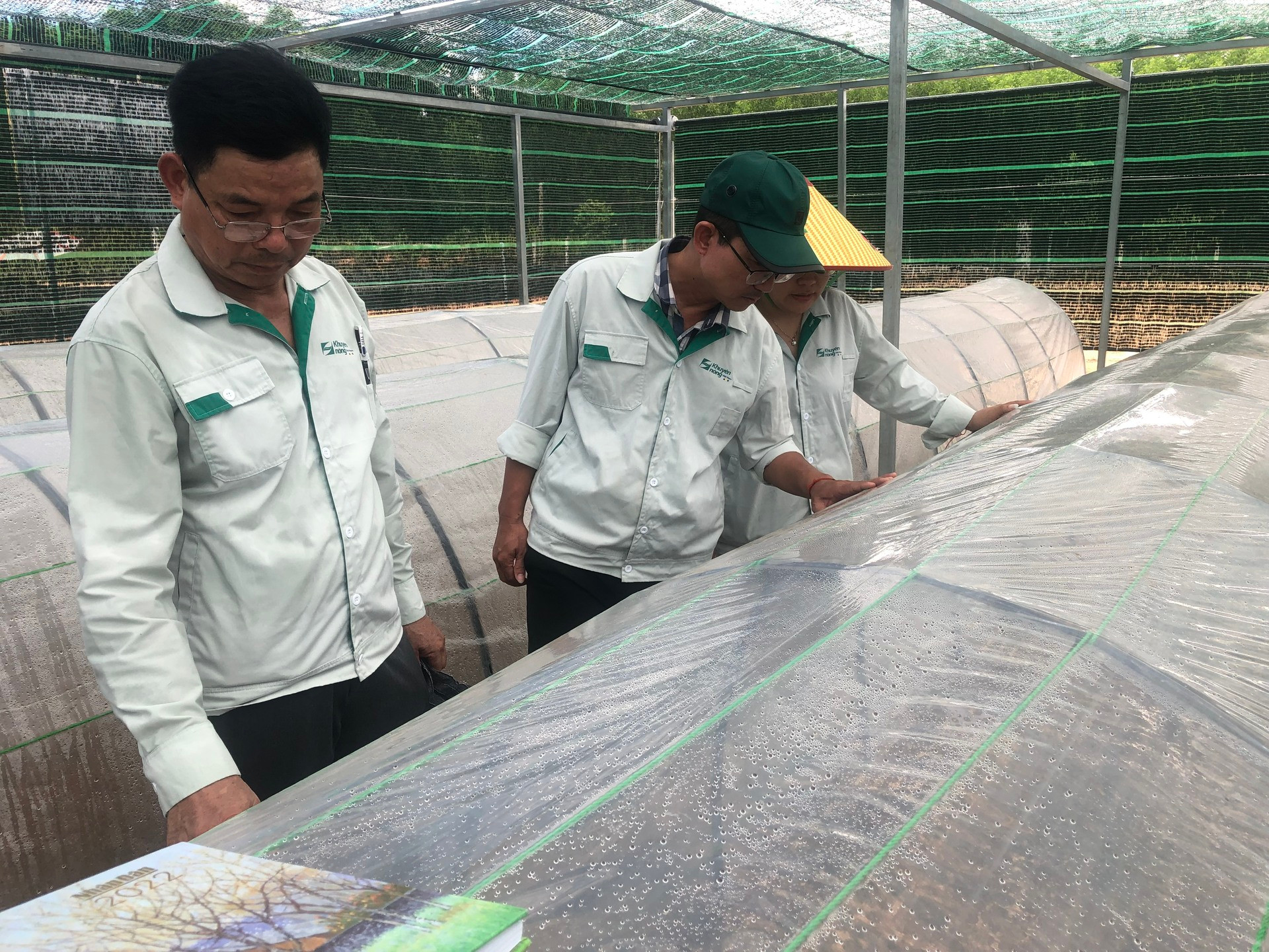 Vườn ươm cây keo lai mô ở Hợp tác xã Long Thành, xã Vĩnh Hà, huyện Vĩnh Linh (Quảng Trị).