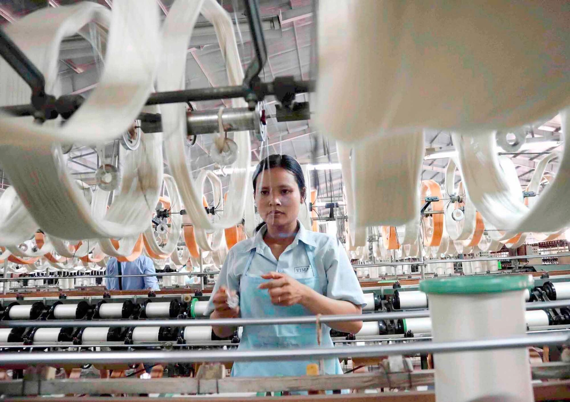 Sản xuất dâu tằm tơ mang lại hiệu quả kinh tế cao cho người dân tỉnh Lâm Đồng. (Ảnh: Văn Bảo)