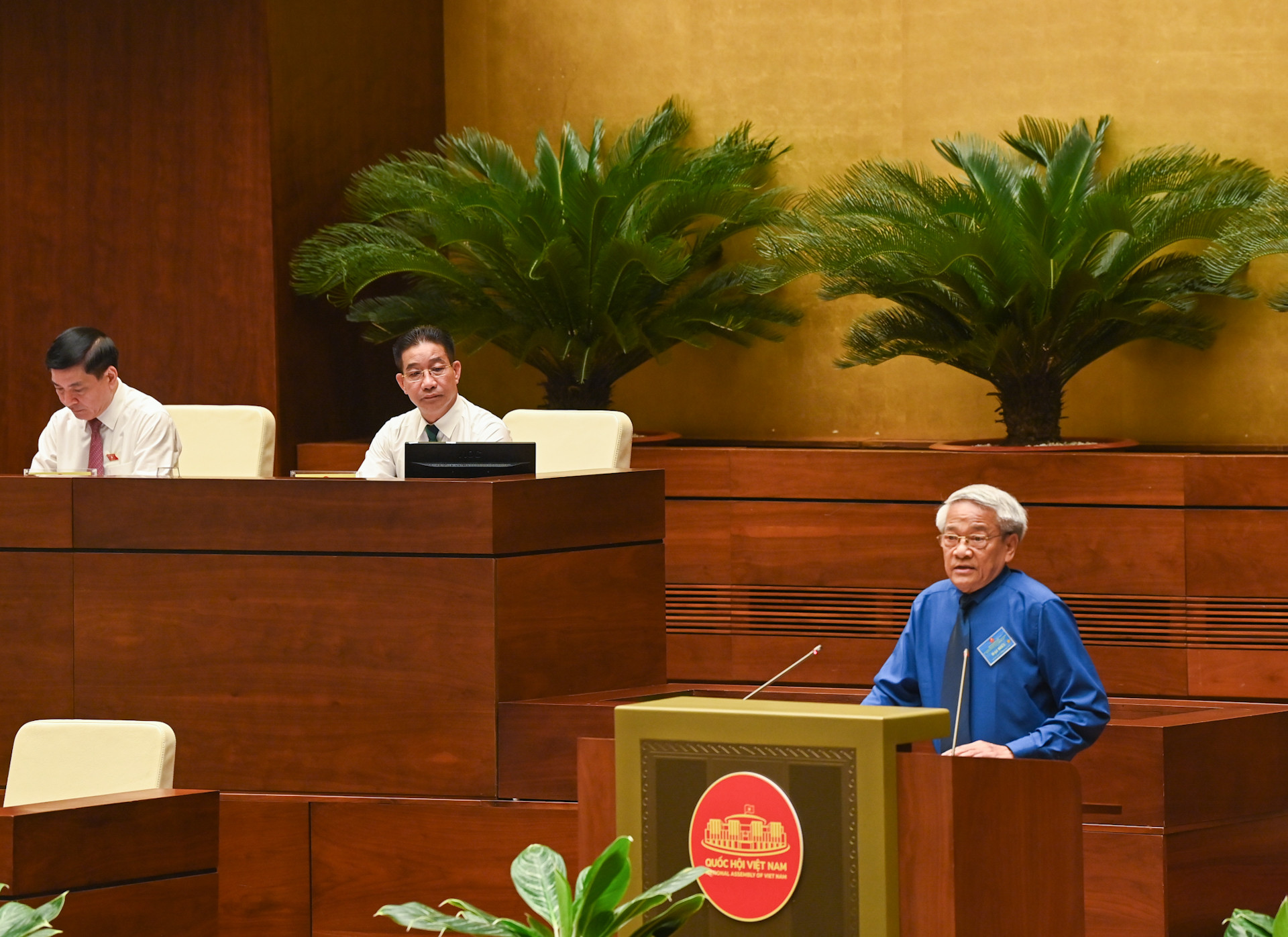 PGS, TS Bùi Đình Phong trình bày tham luận tại hội thảo.