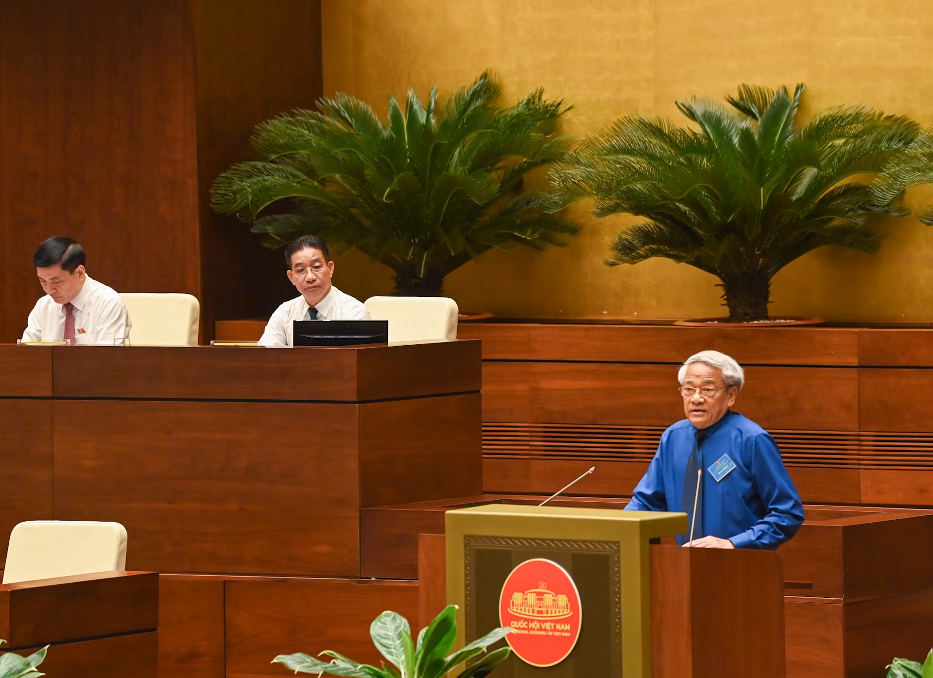 PGS, TS Bùi Đình Phong trình bày tham luận tại hội thảo.