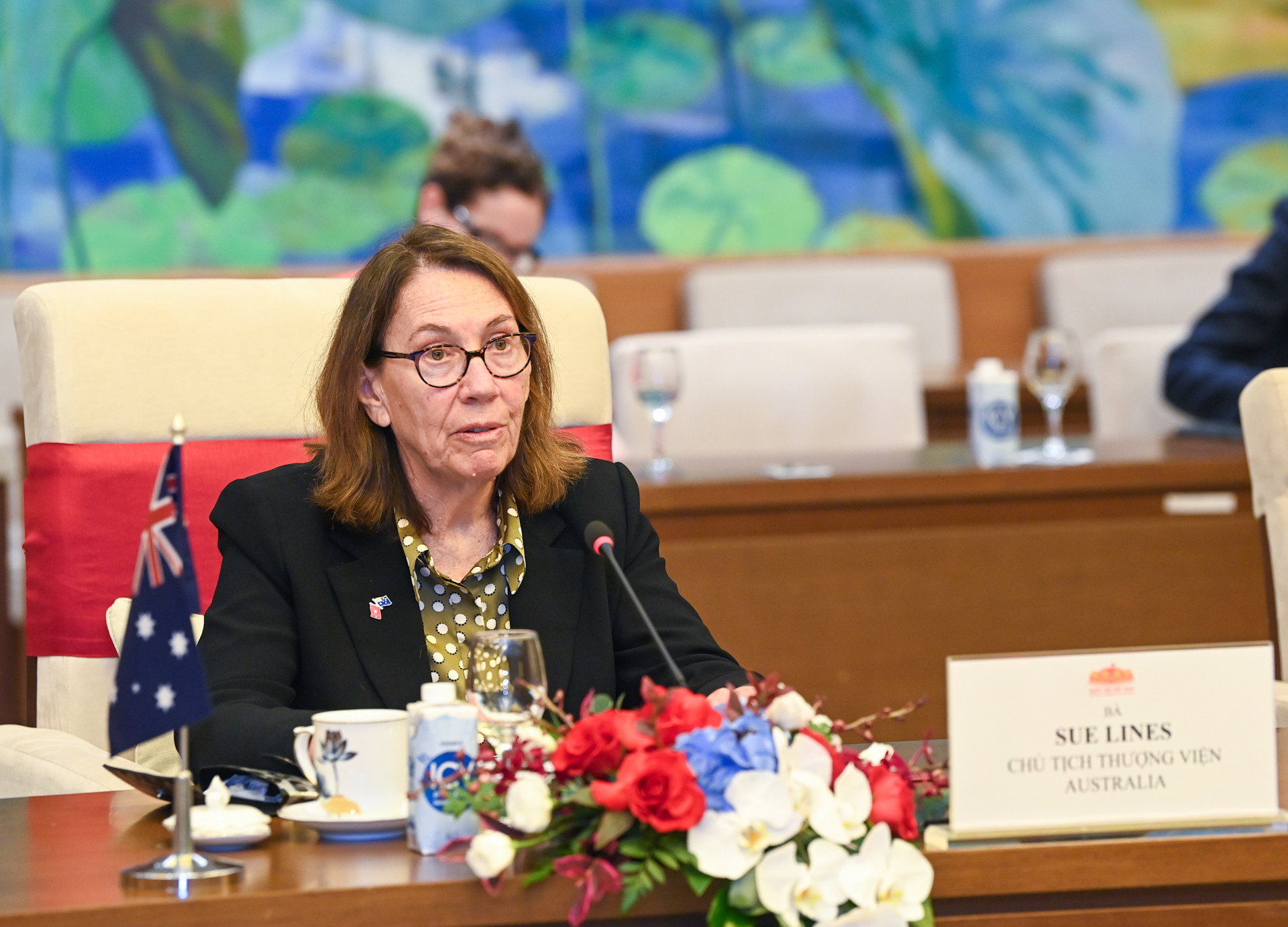Chủ tịch Thượng viện Australia Sue Lines phát biểu tại hội đàm.