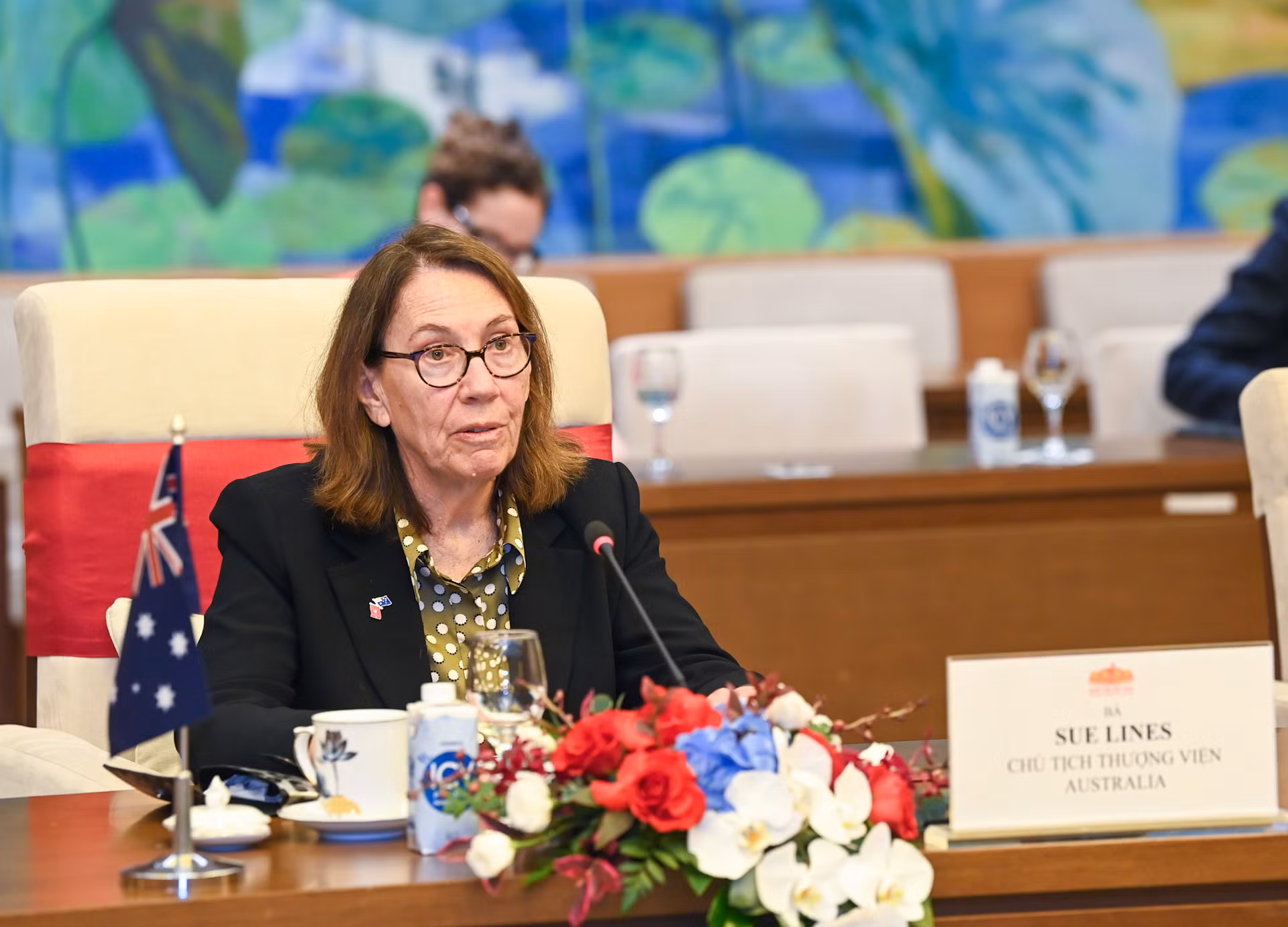 Chủ tịch Thượng viện Australia Sue Lines phát biểu tại hội đàm.