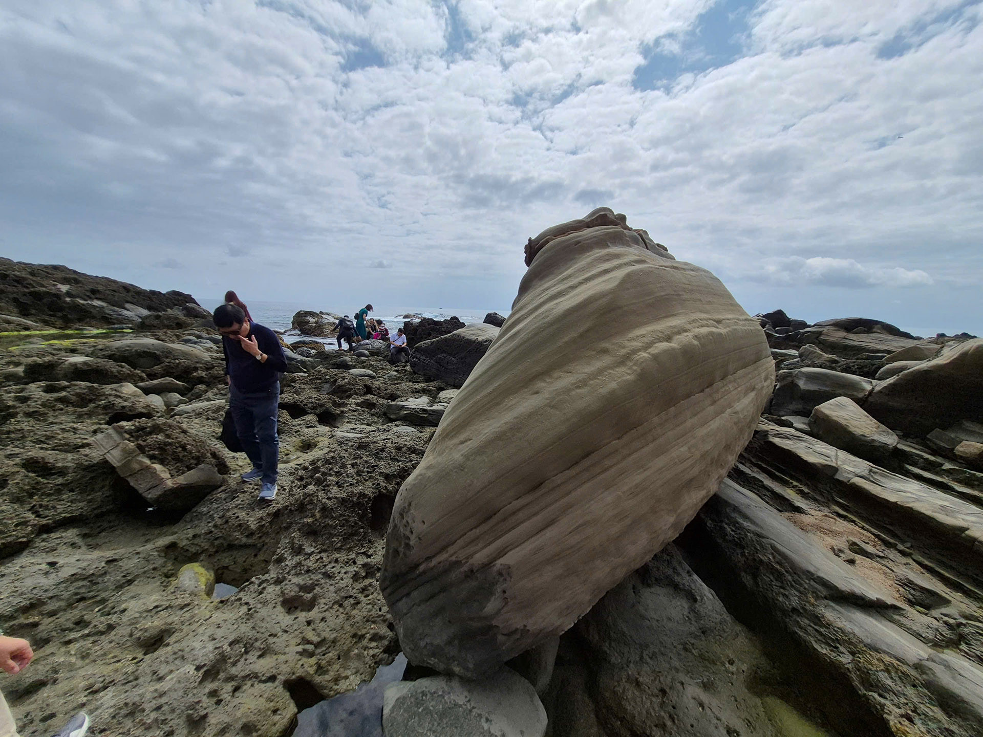 Những viên đá được thiên nhiên tạo trông như con hải cẩu chơi đùa trên bờ biển.