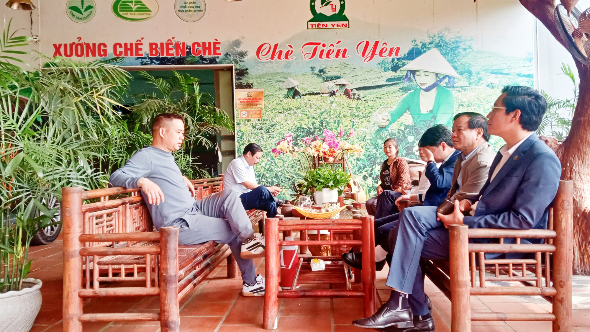 Cơ sở chè Tiến Yên ở xóm Hồng Thái, xã Tân Cương, thành phố Thái Nguyên là điểm đến bốn mùa của du khách.