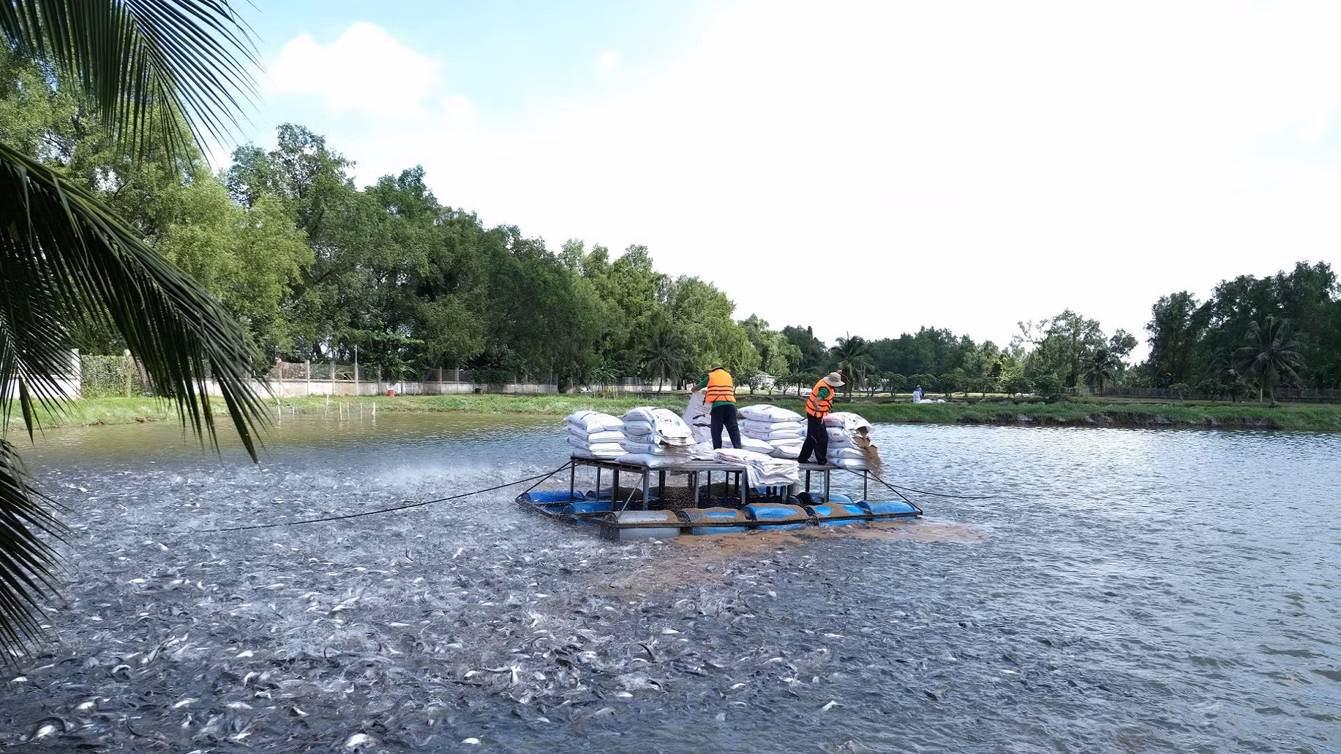 Cần có sự phối hợp đồng bộ từ chính sách của các bộ, ngành, địa phương nhằm góp phần tháo gỡ khó khăn cho sản xuất kinh doanh.