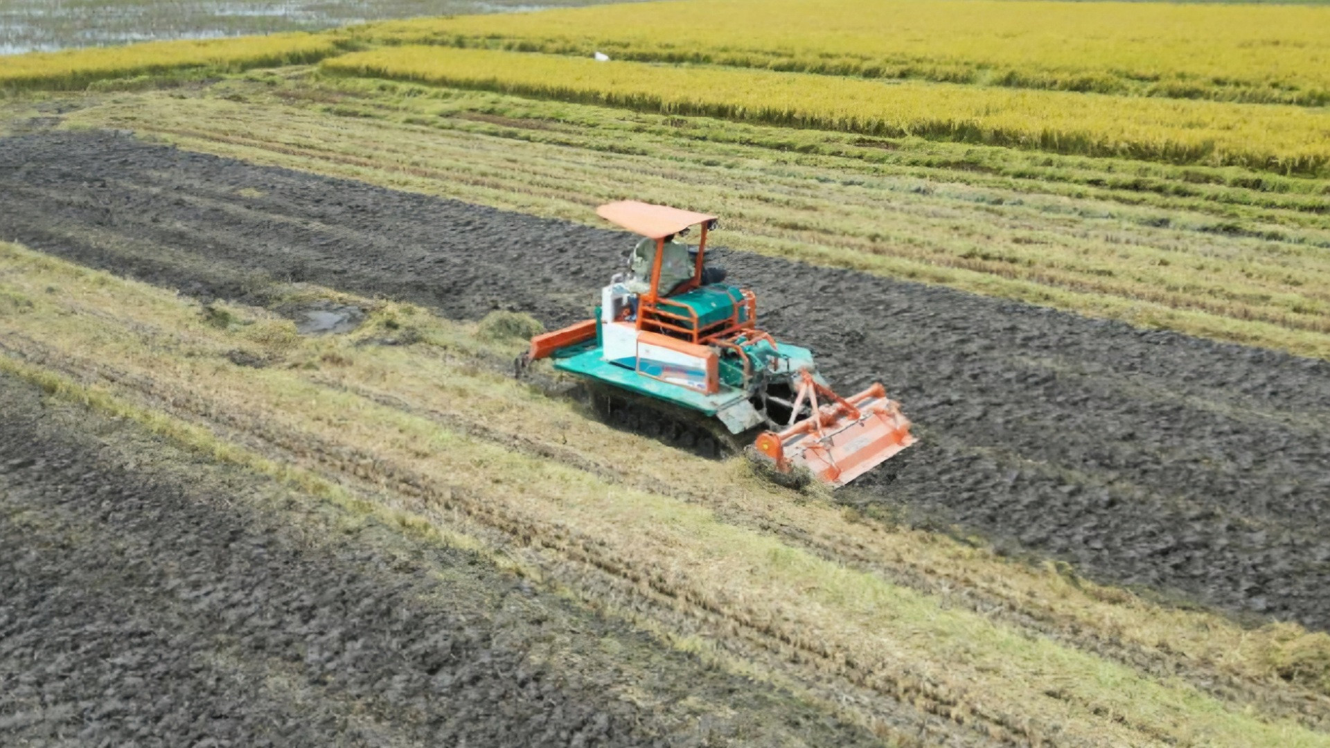 Sử dụng máy móc, cơ giới hóa tăng năng suất lúa cũng như hiệu quả sử dụng phân bón. Sử dụng máy móc, cơ giới hóa tăng năng suất lúa cũng như hiệu quả sử dụng phân bón.