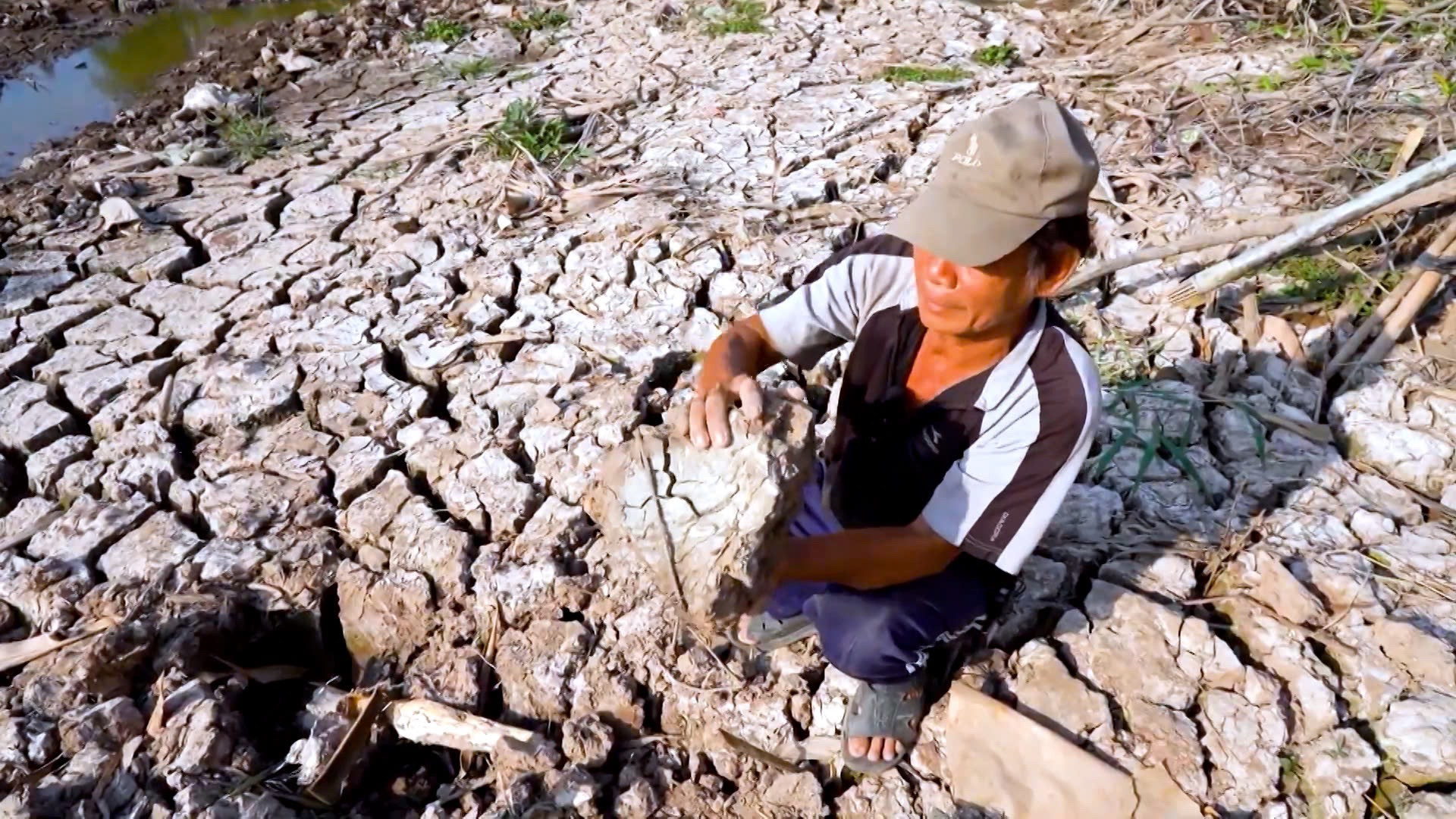 Những lòng sông trơ đáy, cây trồng héo khô, nhiều địa phương công bố tình hình khẩn cấp do xâm nhập mặn.