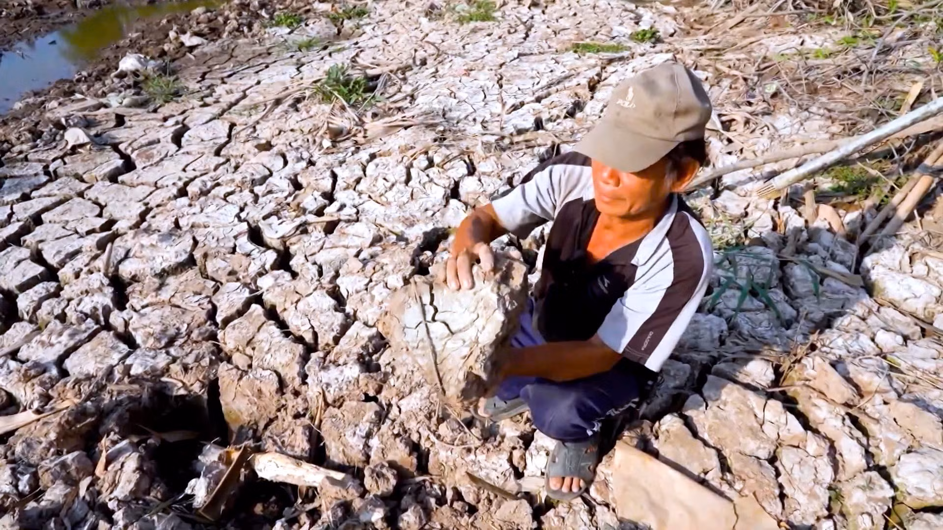 Những lòng sông trơ đáy, cây trồng héo khô, nhiều địa phương công bố tình hình khẩn cấp do xâm nhập mặn.