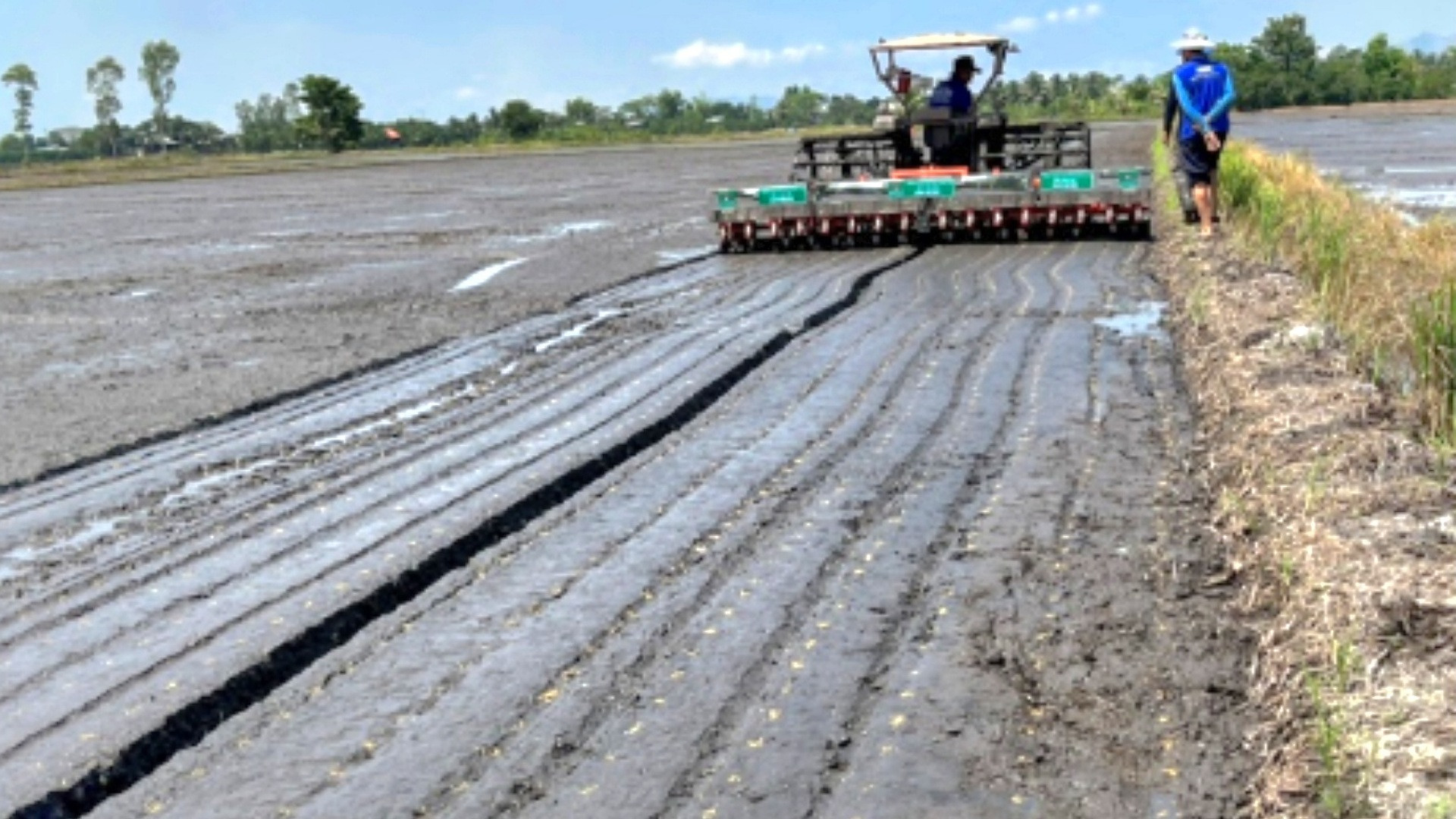 Ứng dụng cơ giới hóa sẽ góp phần nâng cao hiệu quả sử dụng phân bón. Ứng dụng cơ giới hóa sẽ góp phần nâng cao hiệu quả sử dụng phân bón.