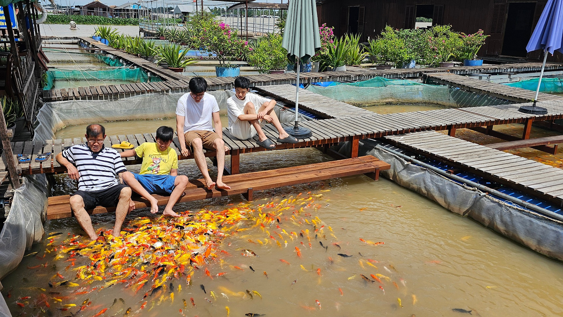 Du khách trải nghiệm tại bảo tàng cá Bảy Bon.