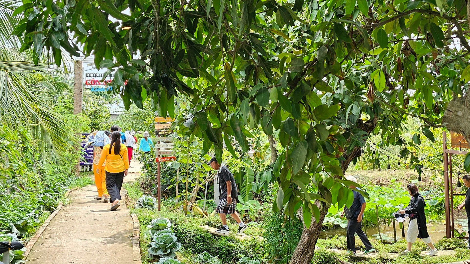 Nhiều người cho rằng, miền Tây Nam Bộ cần có thêm nhiều cách làm du lịch sáng tạo.