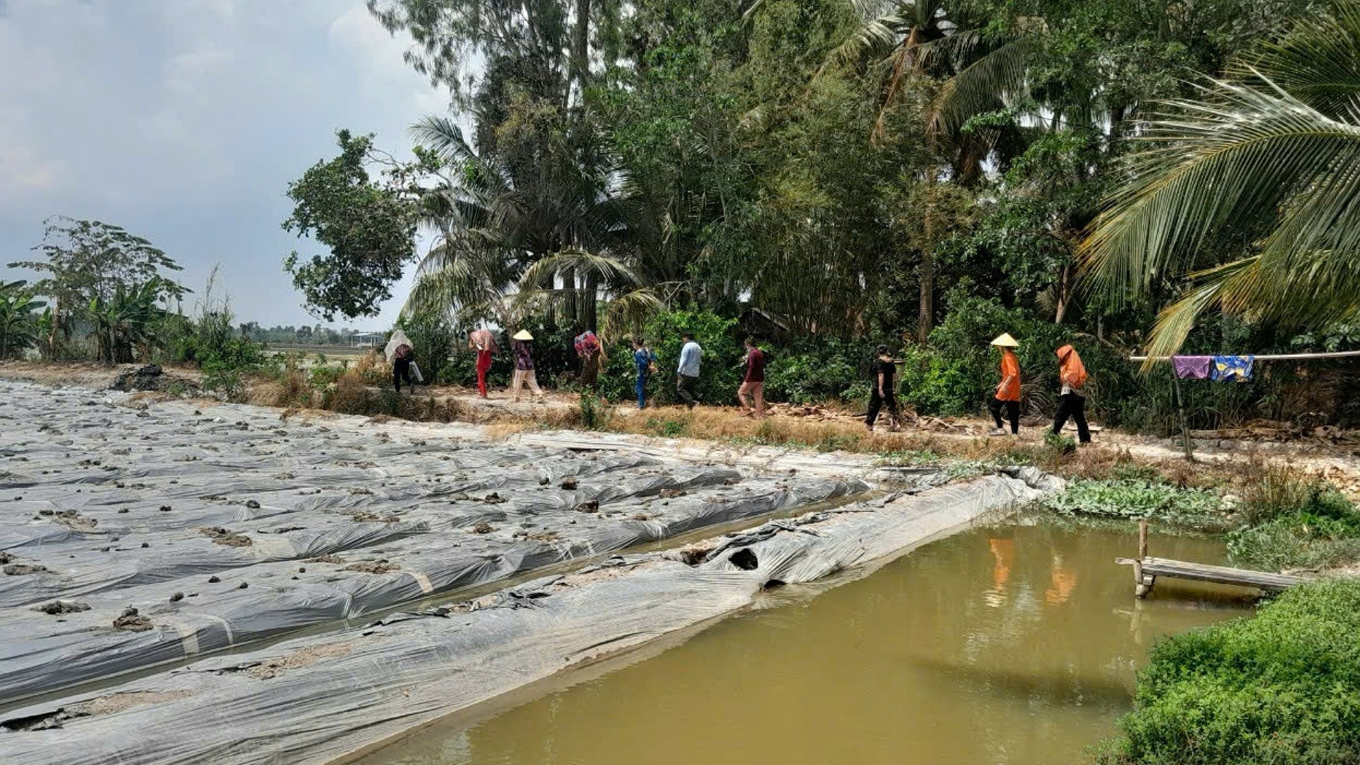 Nông dân tỉnh Hậu Giang chuẩn bị cho mùa vụ mới.