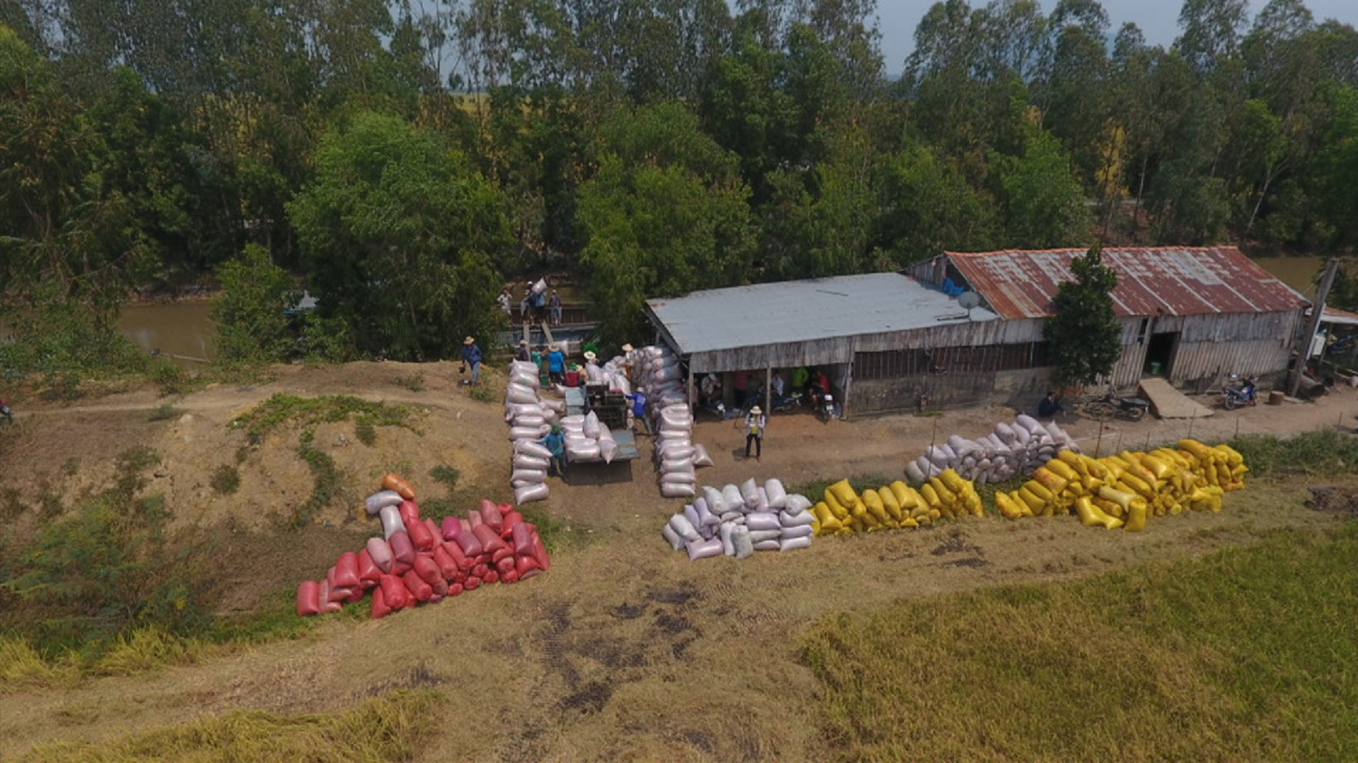 Đồng bằng sông Cửu Long được thiên nhiên ưu đãi với hệ thống kênh ngòi dày đặc, đất đai trù phú.