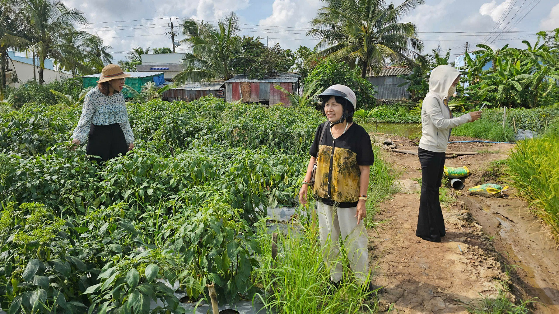 Cán bộ Hội Liên hiệp Phụ nữ huyện Hòa Bình thăm một mô hình phụ nữ phát triển kinh tế.