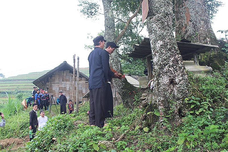 Nghi lễ cúng Hoàng Vần Thùng, vị Thành Hoàng của dân tộc Cờ Lao ở xã Túng Sán, Hoàng Su Phì. (Ảnh: Báo Hà Giang) Nghi lễ cúng Hoàng Vần Thùng, vị Thành Hoàng của dân tộc Cờ Lao ở xã Túng Sán, Hoàng Su Phì. (Ảnh: Báo Hà Giang)