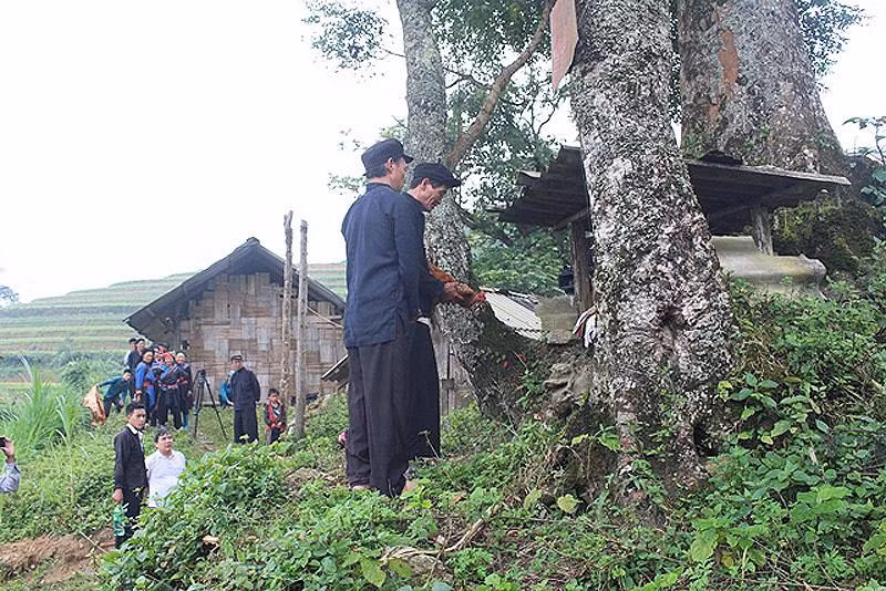 Nghi lễ cúng Hoàng Vần Thùng, vị Thành Hoàng của dân tộc Cờ Lao ở xã Túng Sán, Hoàng Su Phì. (Ảnh: Báo Hà Giang)