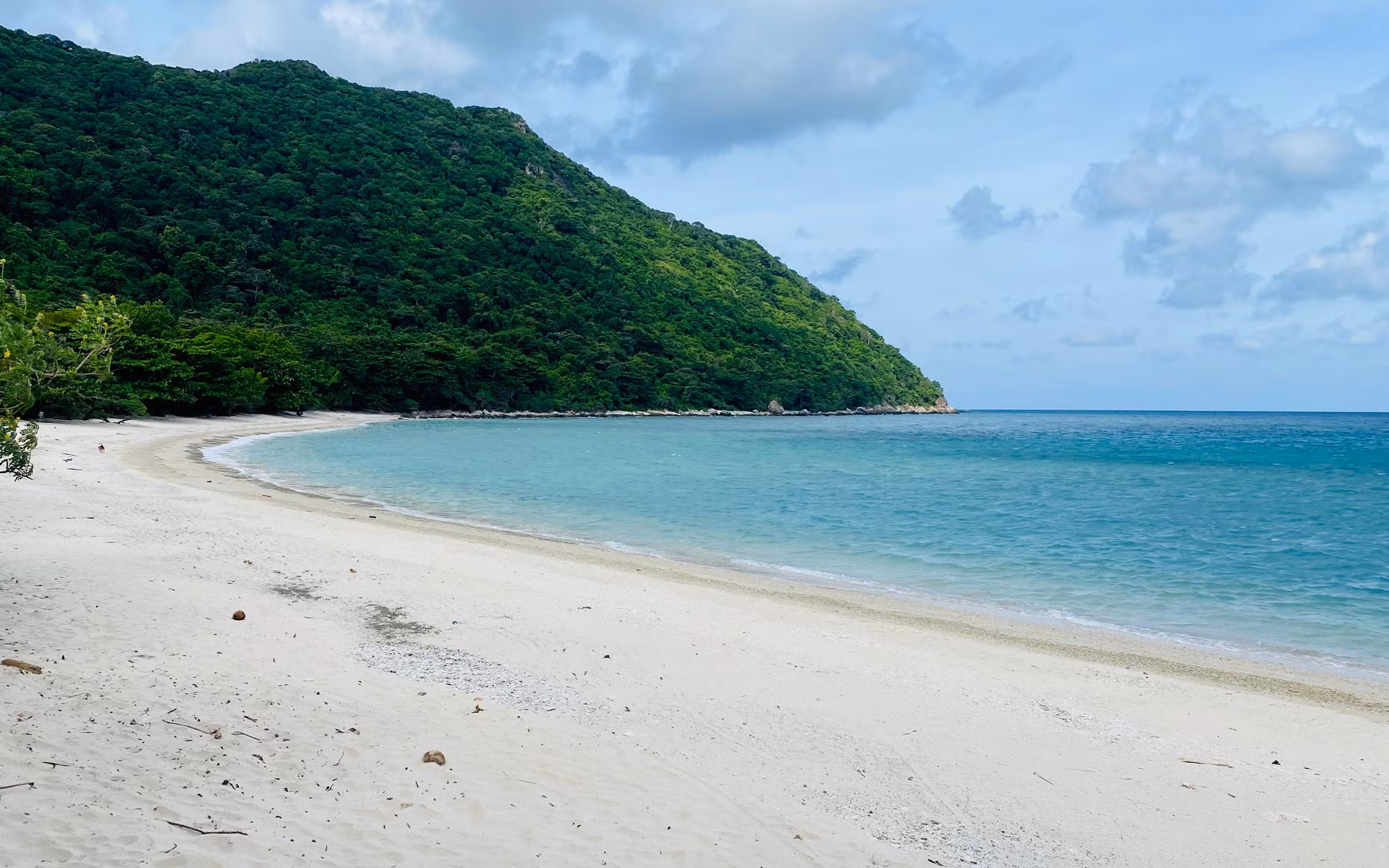 Một ngày đỡ đẻ cho rùa biển ảnh 3