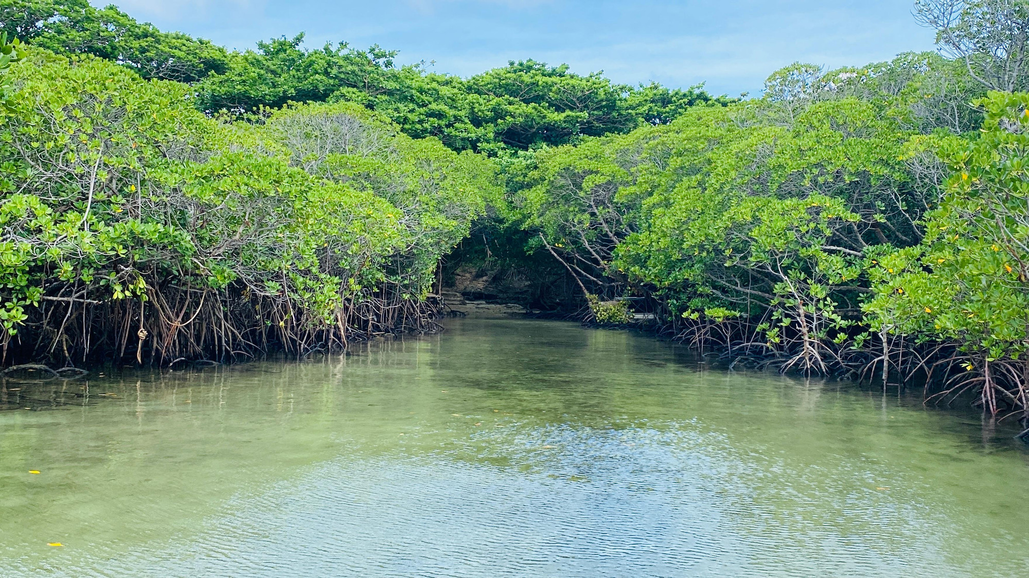 Cano lên Hòn Bảy Cạnh qua lối sau đảo