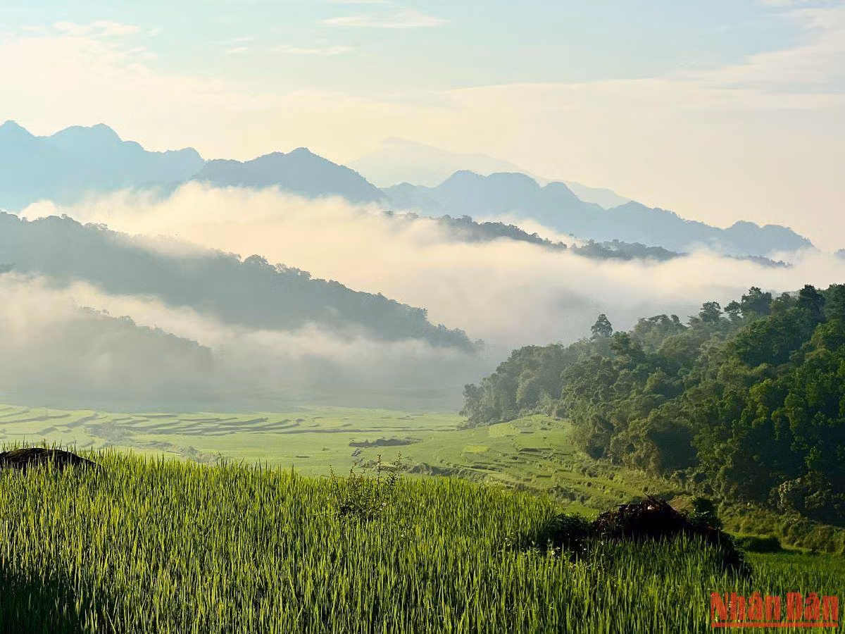 Đứng ở vị trí nào cũng có thể “săn” mây buổi sớm